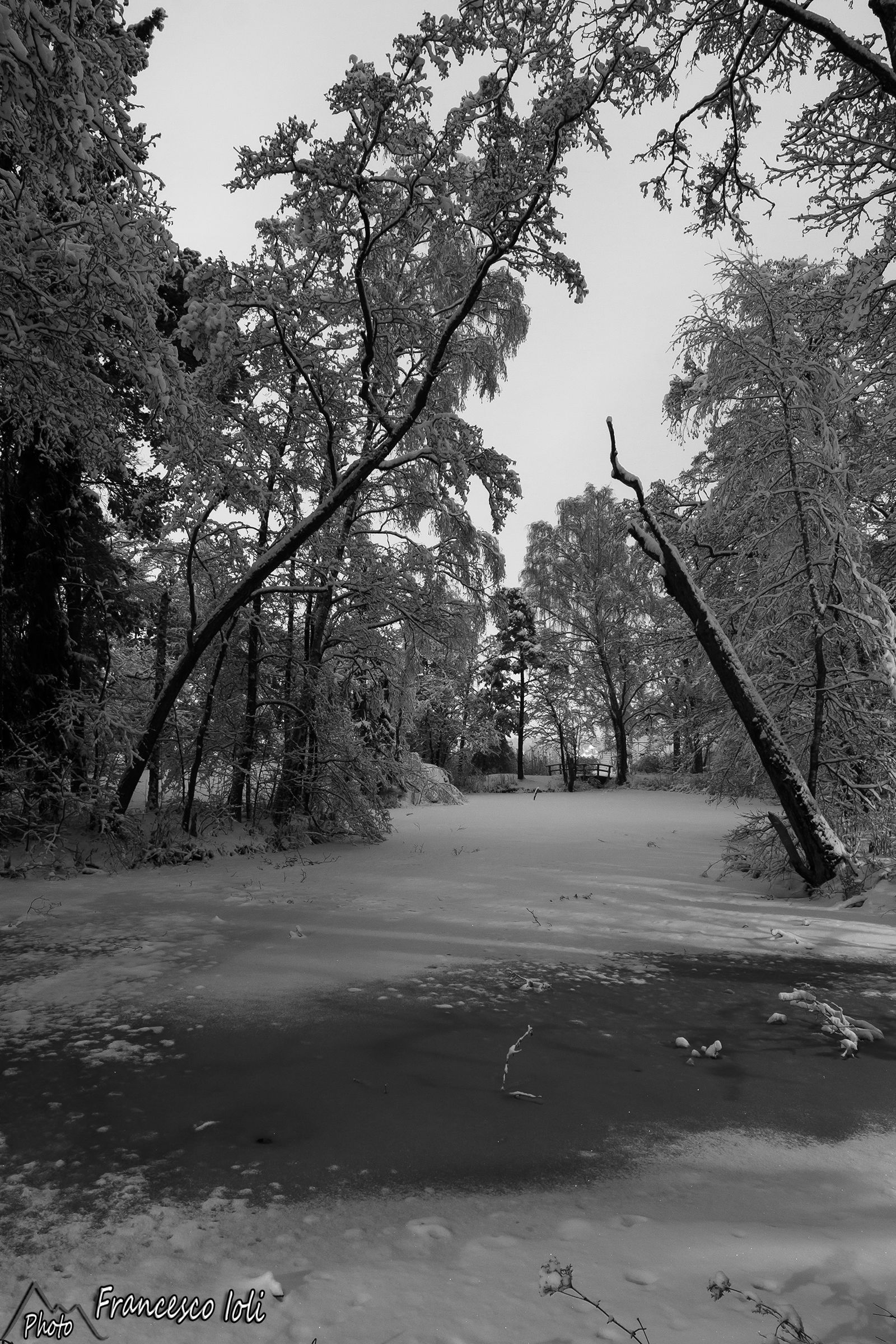 Seurasaari Island (Helskini)