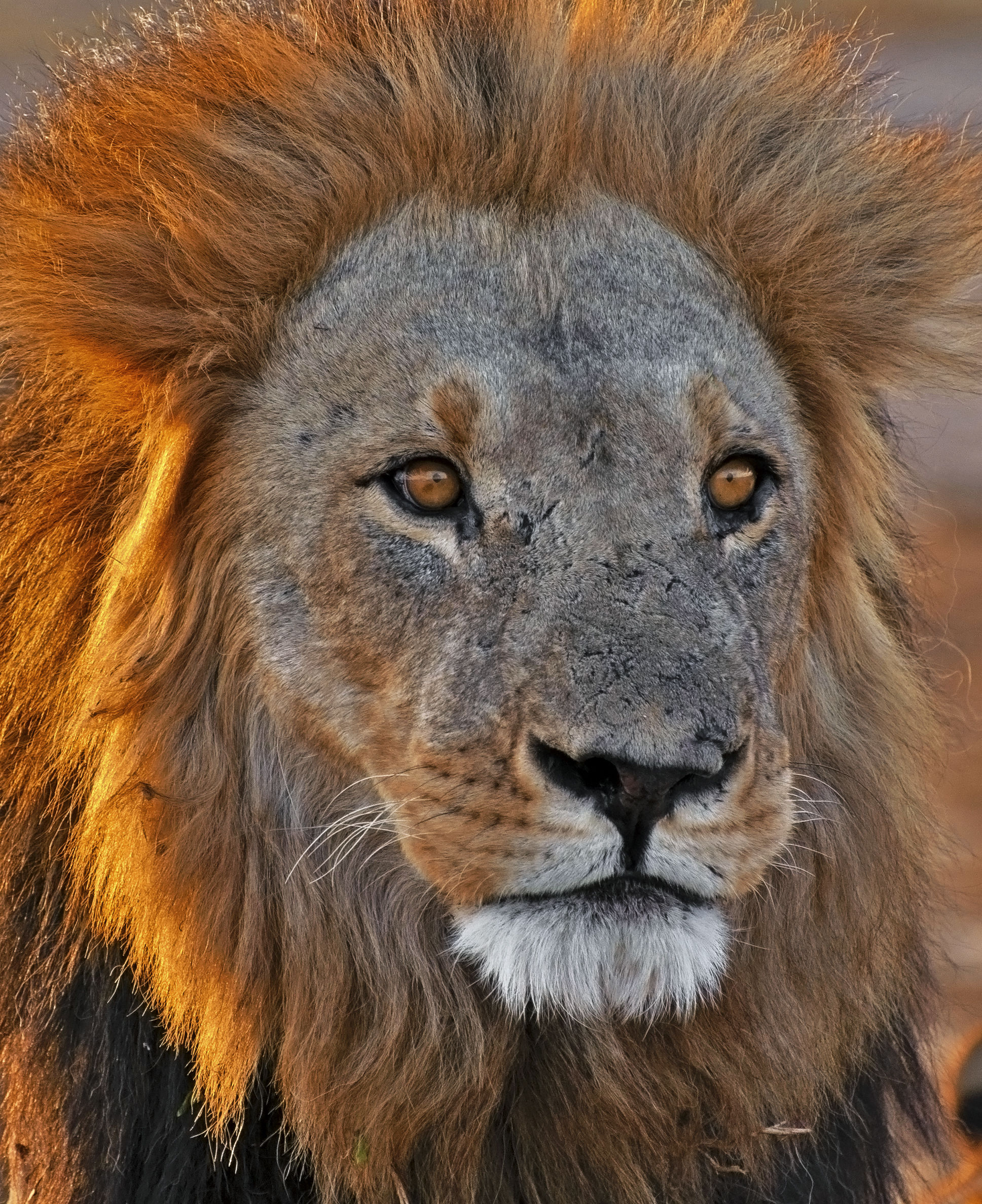 The heart of Botswana