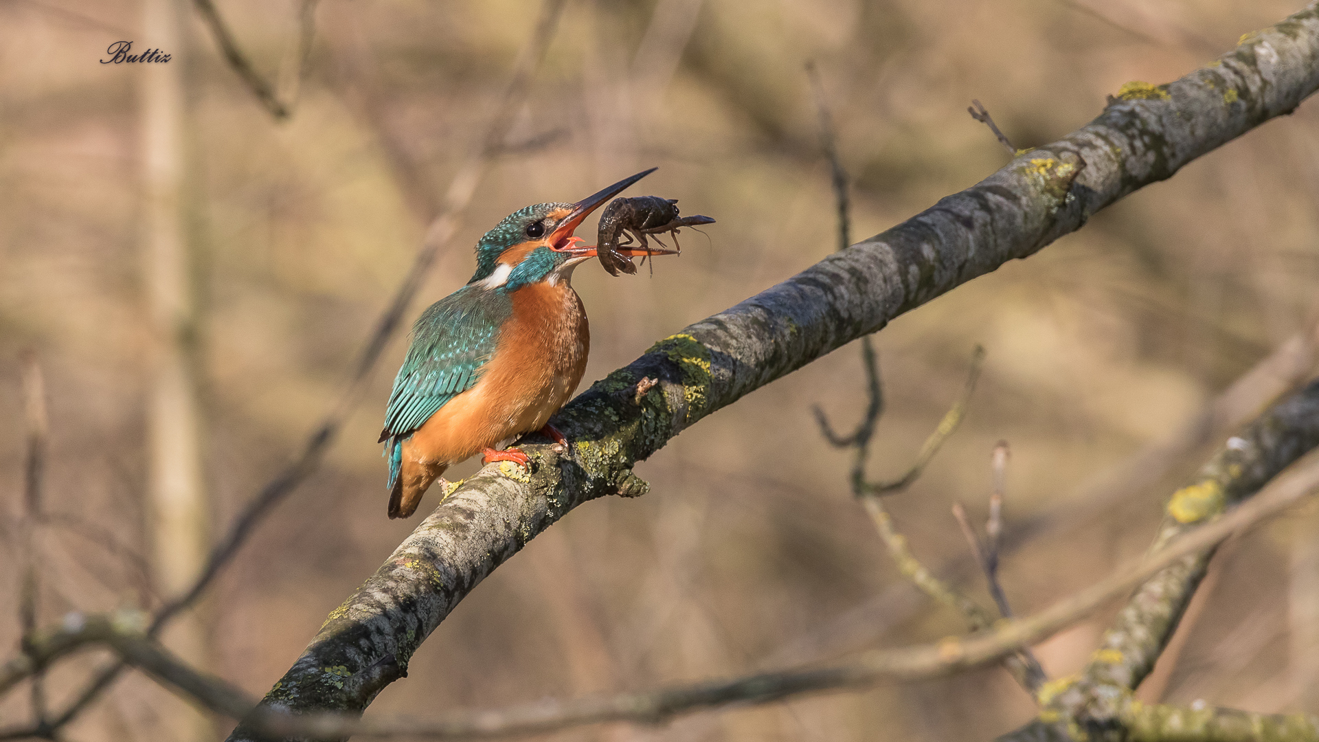 Martina... la giocoliera