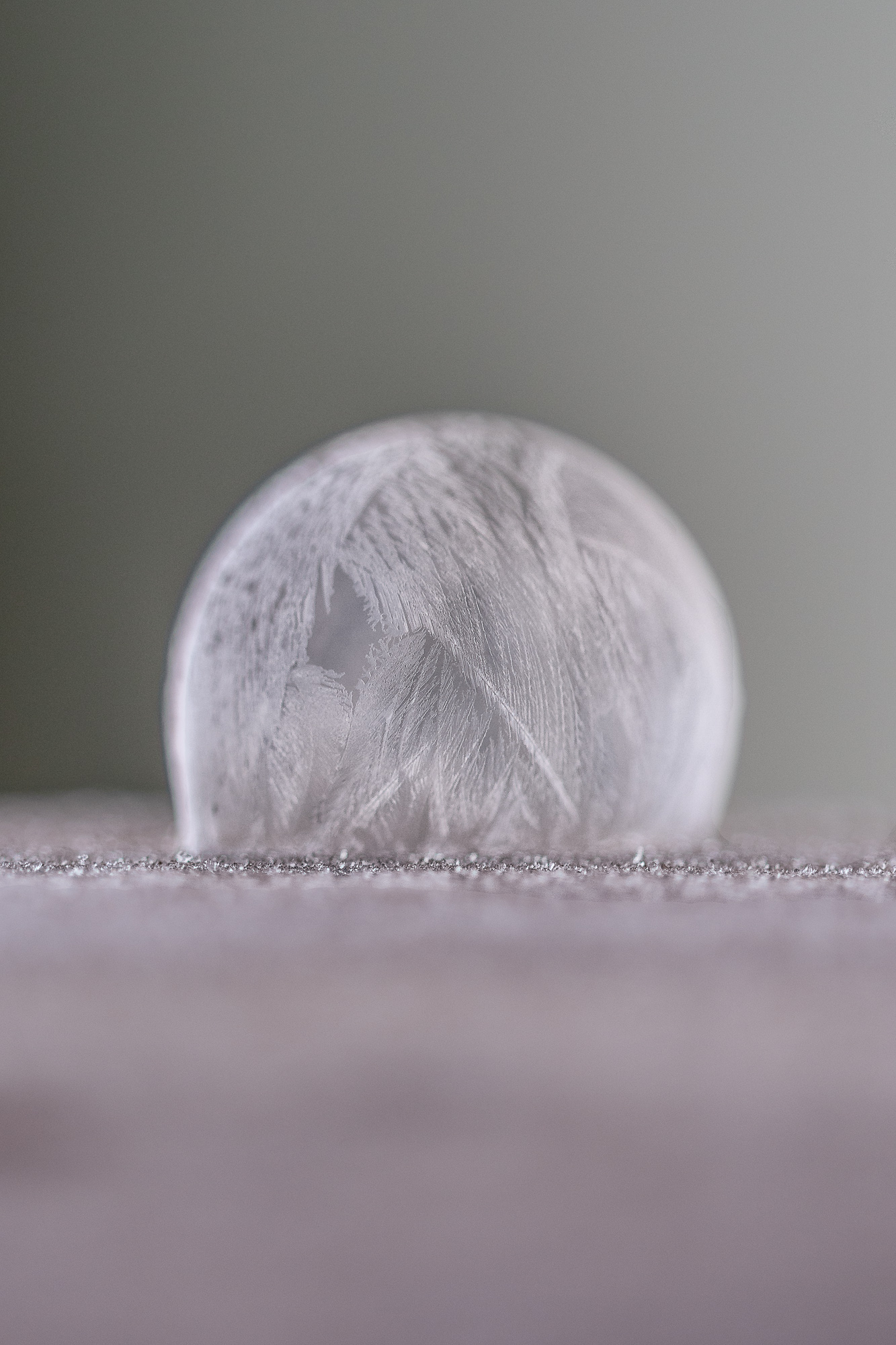 Bolla congelata-tentativo due