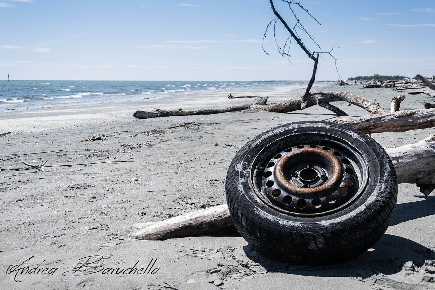 Ruota solitaria a Barricata