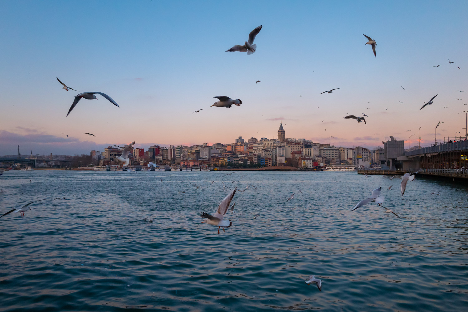 Galata-Istanbul #1