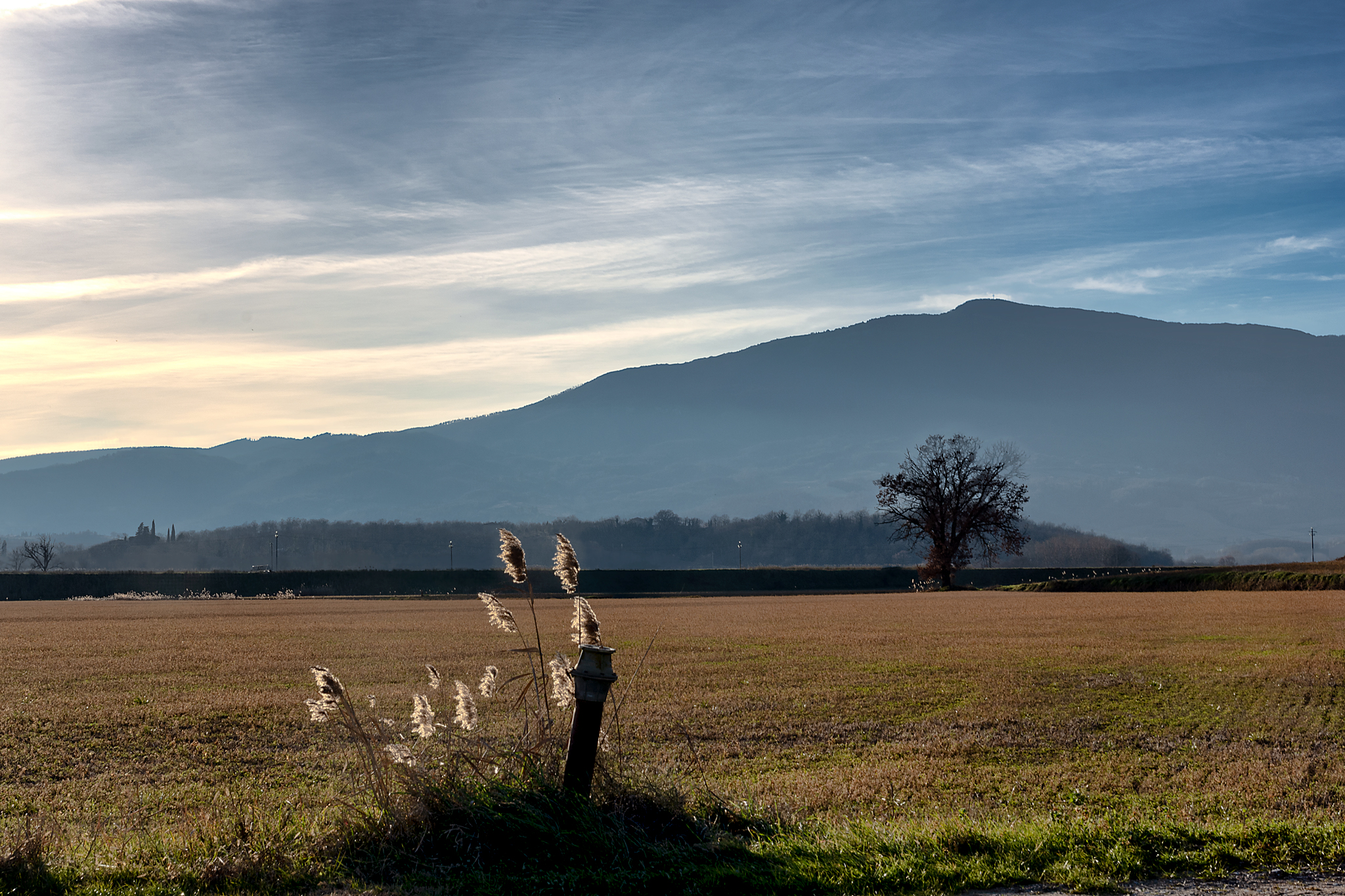vista su monte cetona (si)