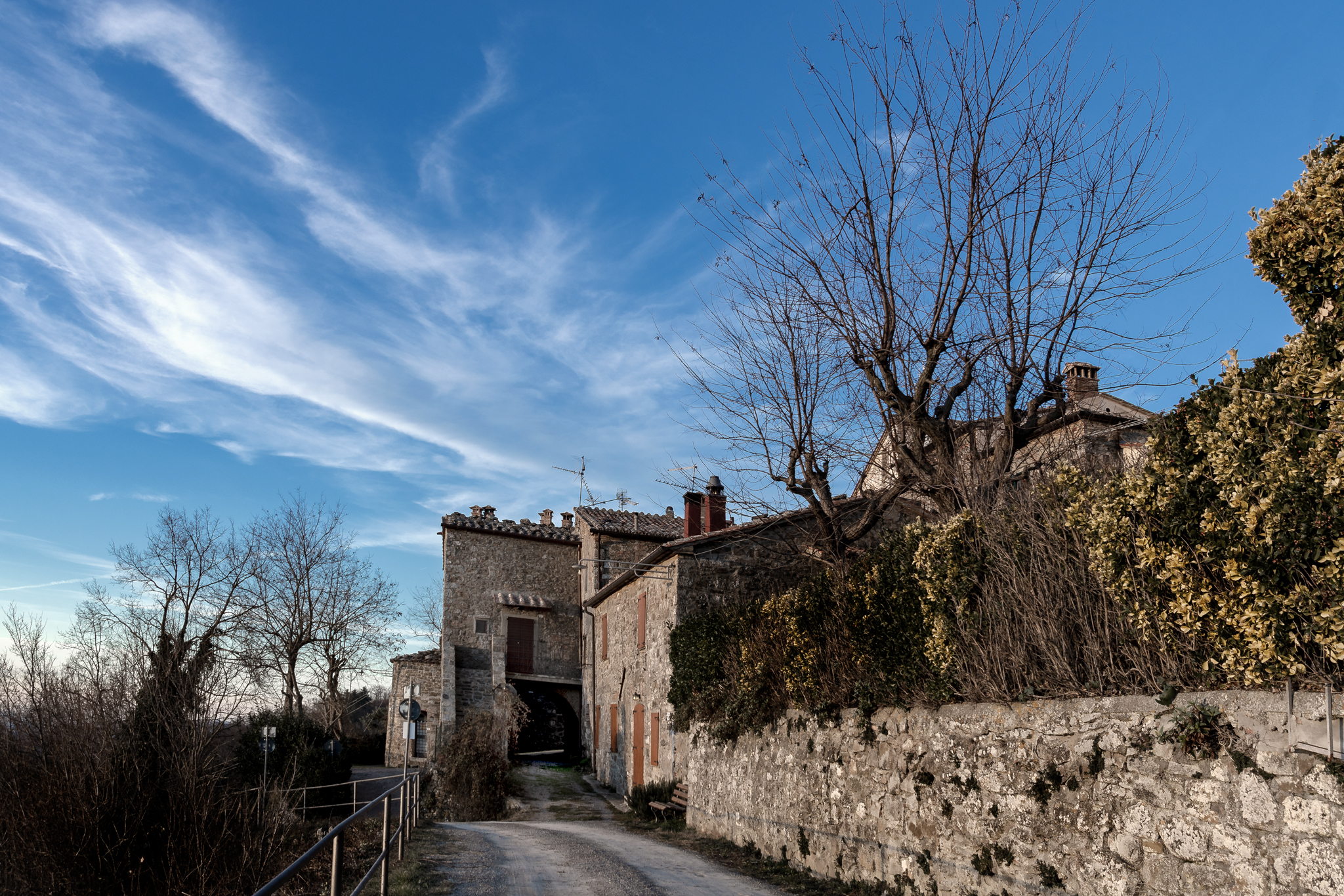 castiglioncello sul trinoro