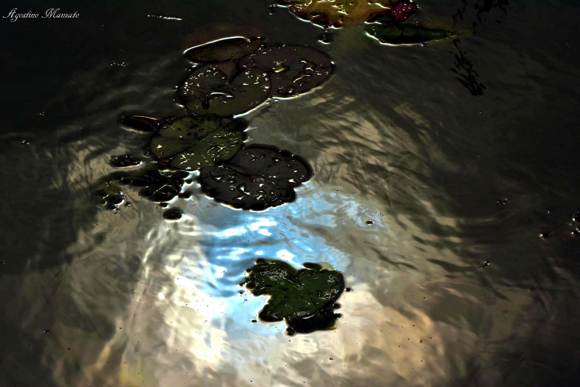 How impressionist the sky is in Monet's Pond!