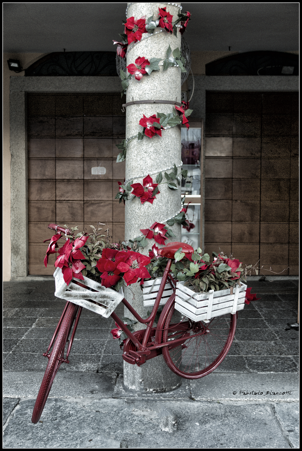 Cycling towards the spring...