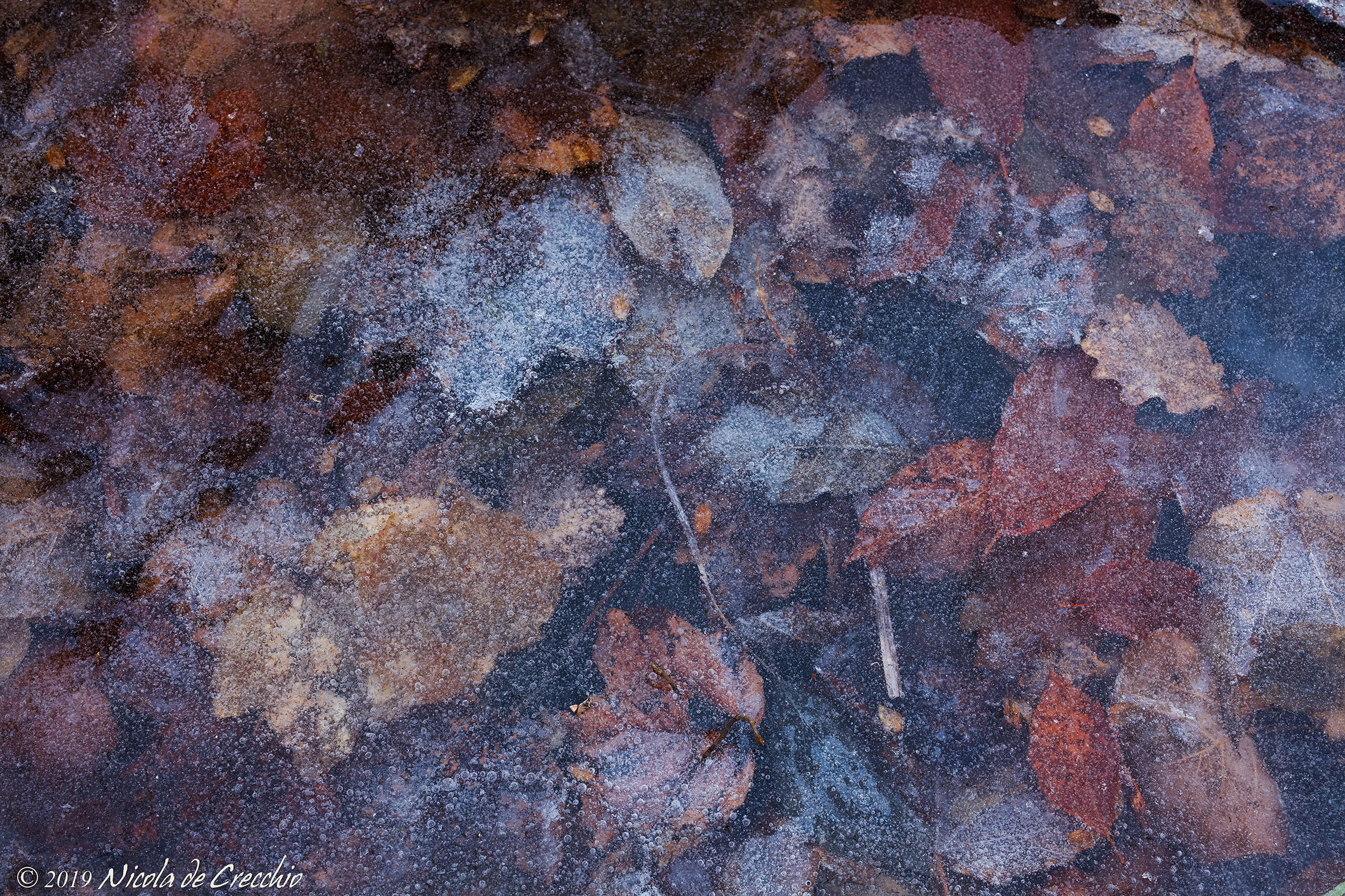 L'autunno, in inverno