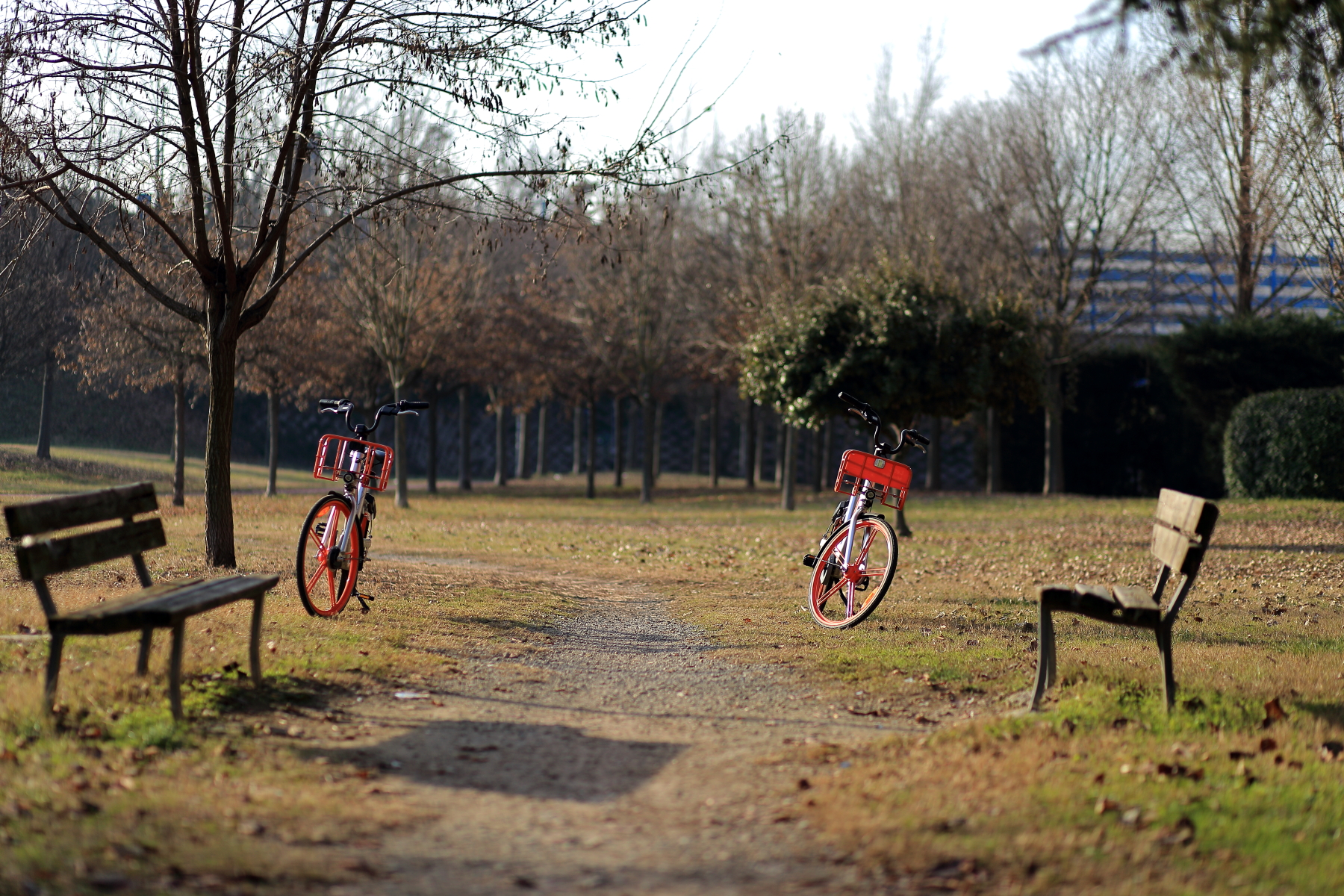 Sustainable mobility