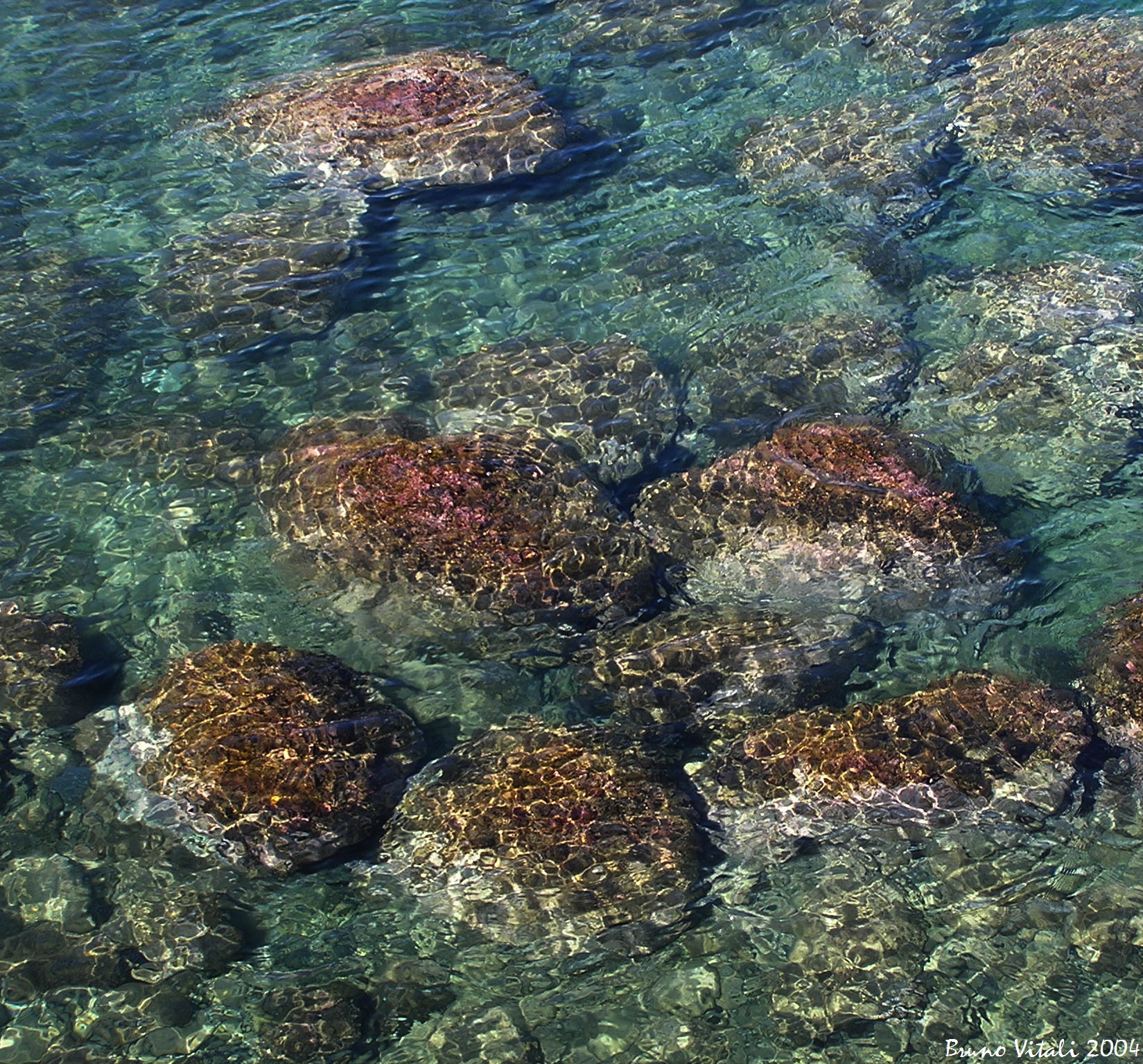 Acqua Chiara a Levanto