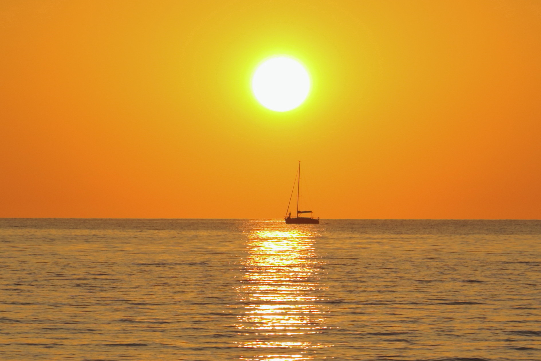 Immersed in the red of the sunset