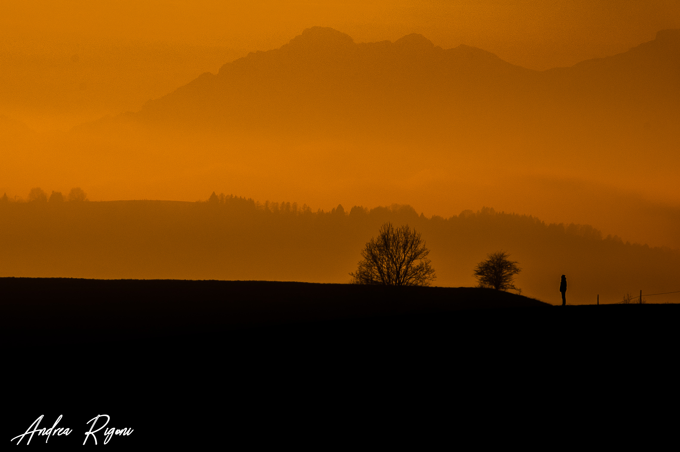 Observing the Nightfall