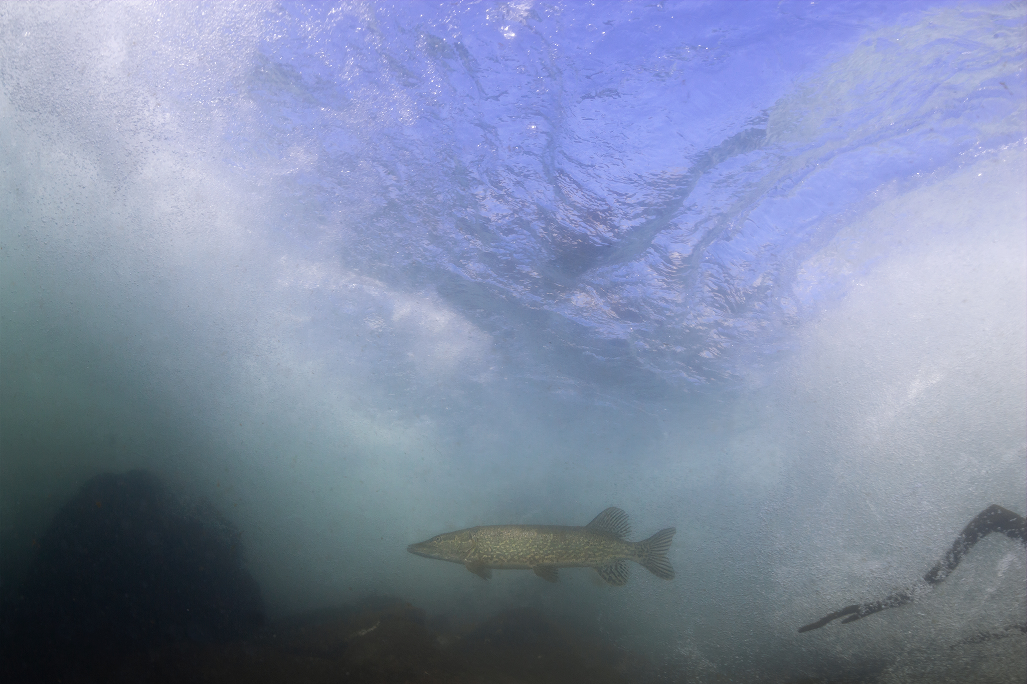 Quello che non ti aspetti