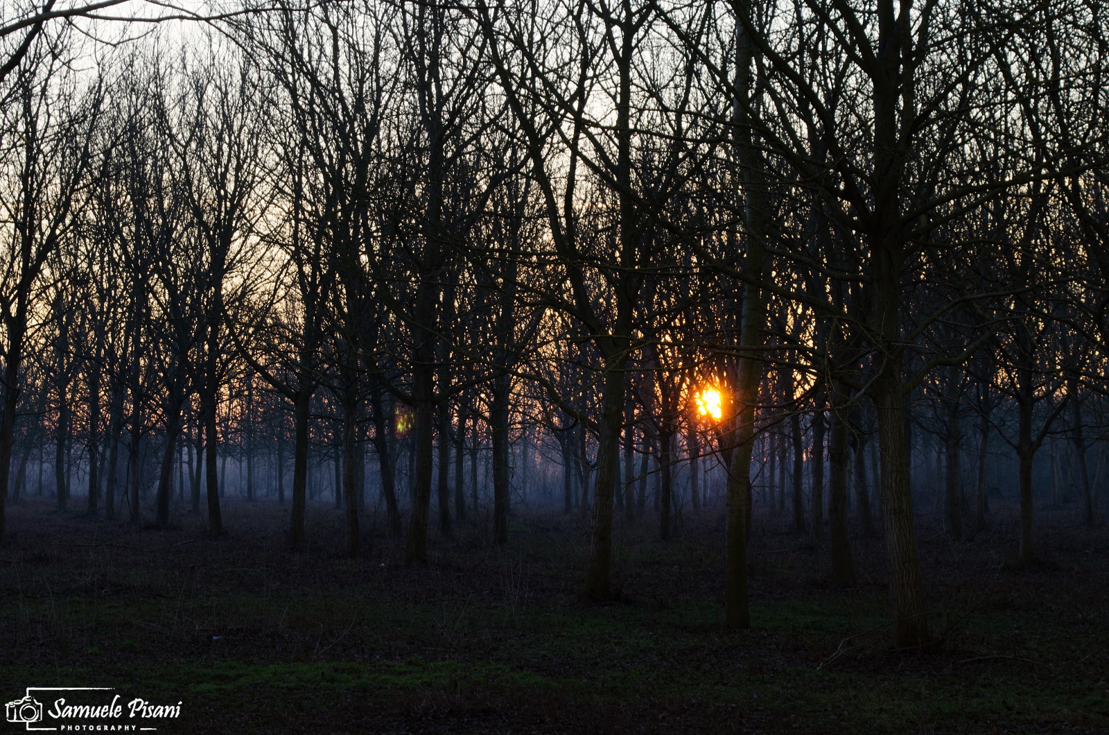 Foschia all'imbrunire