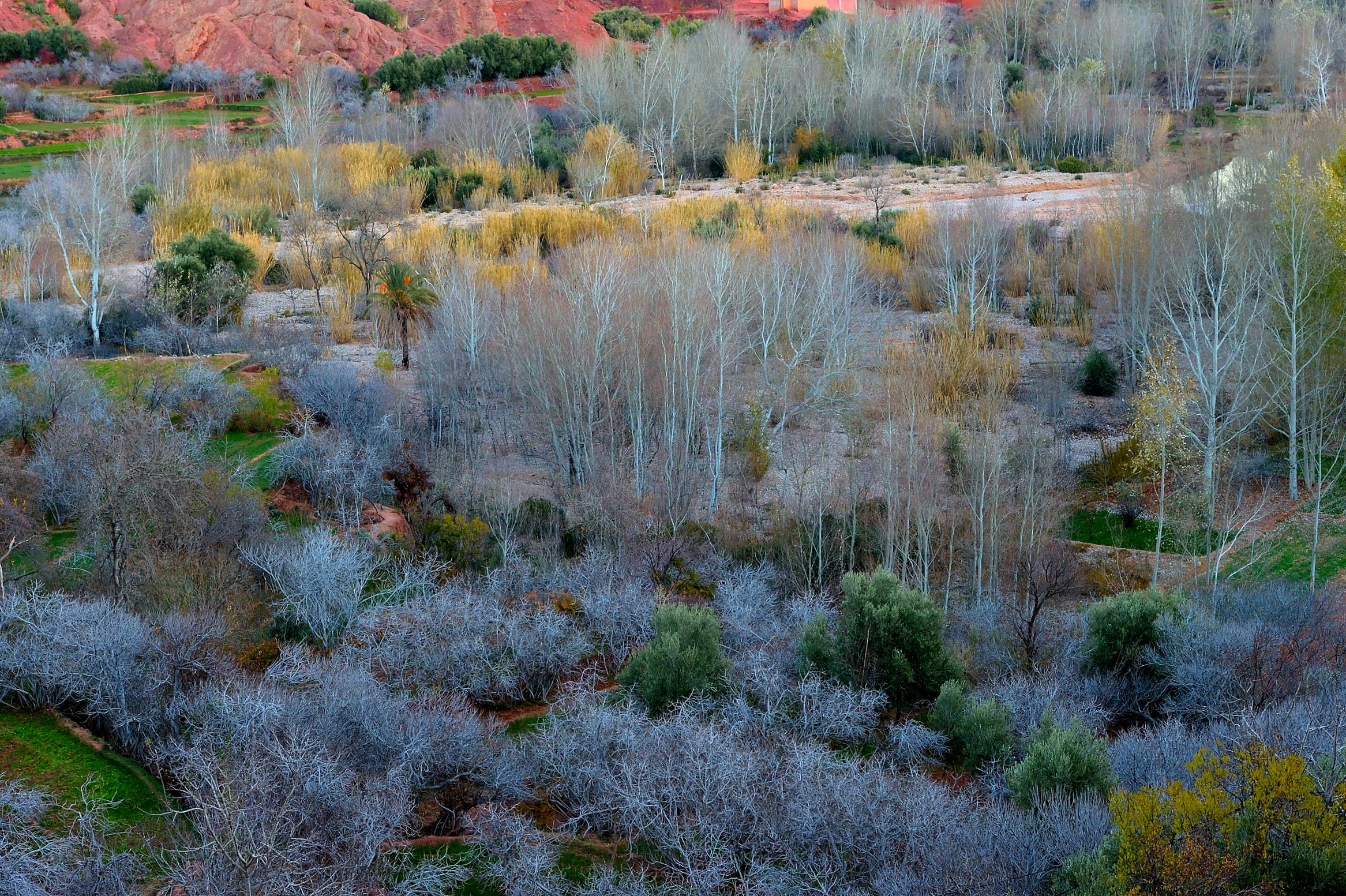 Todra and Dadesh Gorges