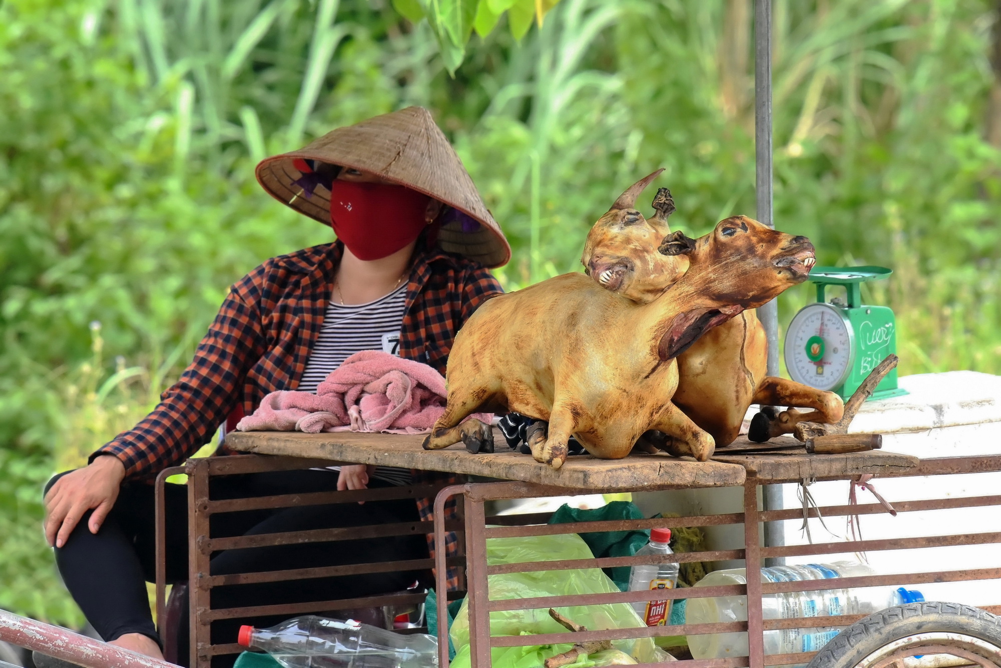 Goat meat saleswoman (Vietnam)