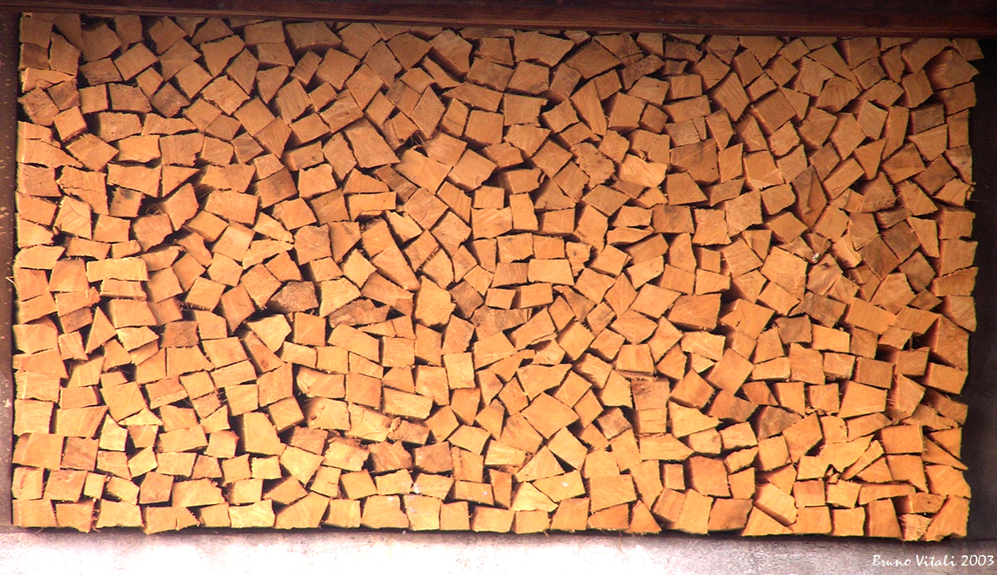 Legnaia perfetta a Cogolo