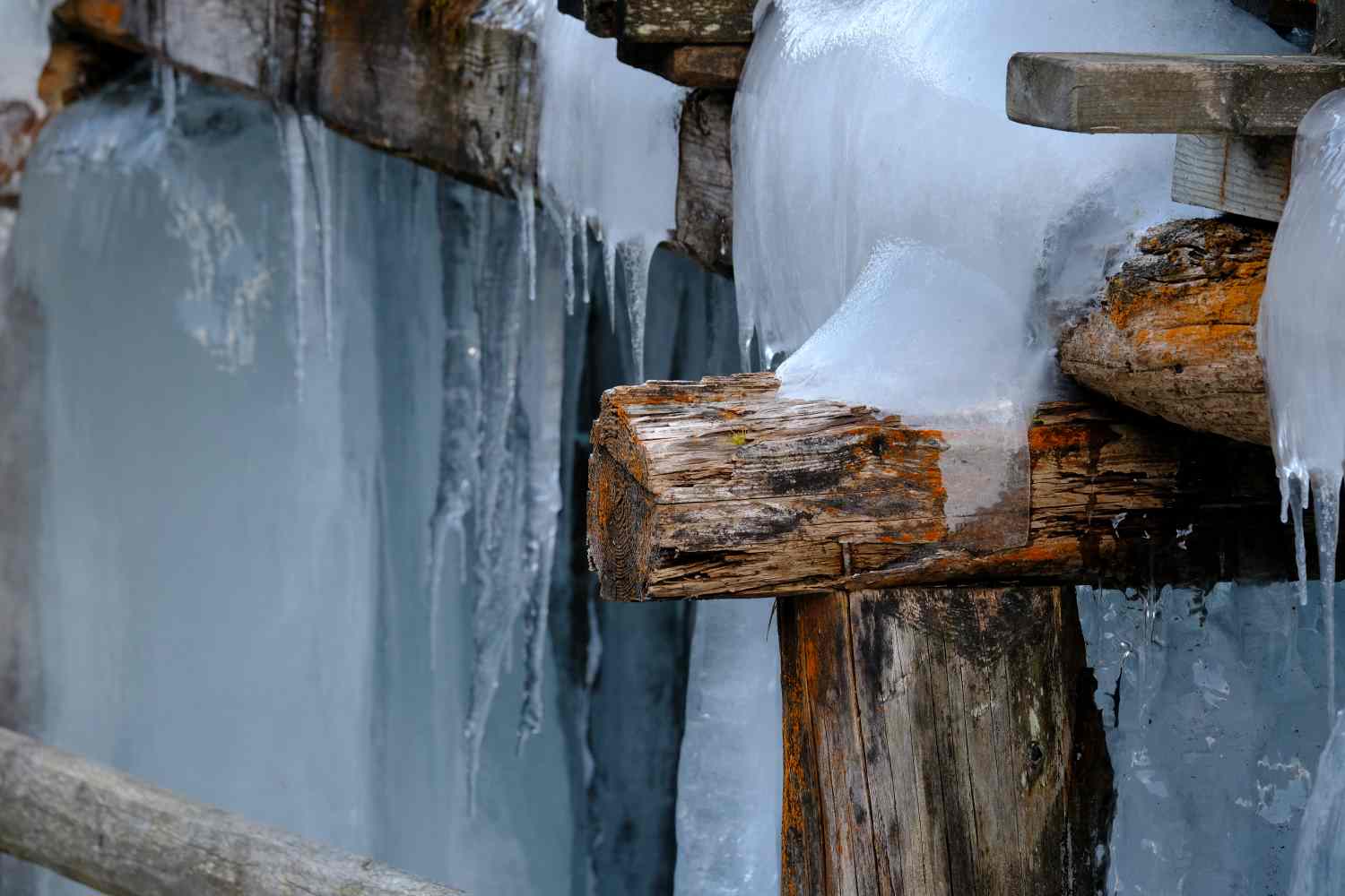 val di Rabbi (Tn) 16.01.19