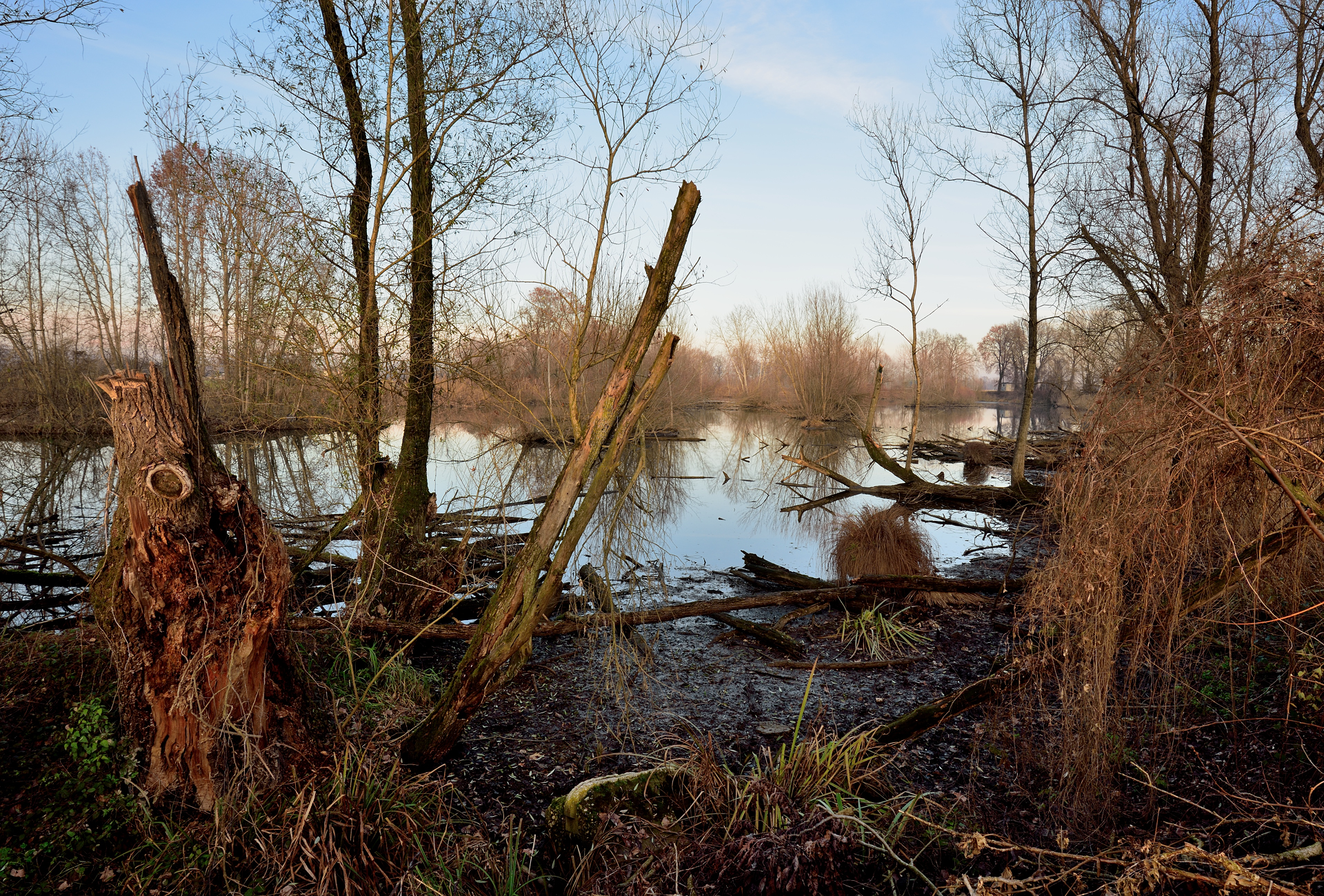 La morta dell'Adda di Cavenago d'Adda