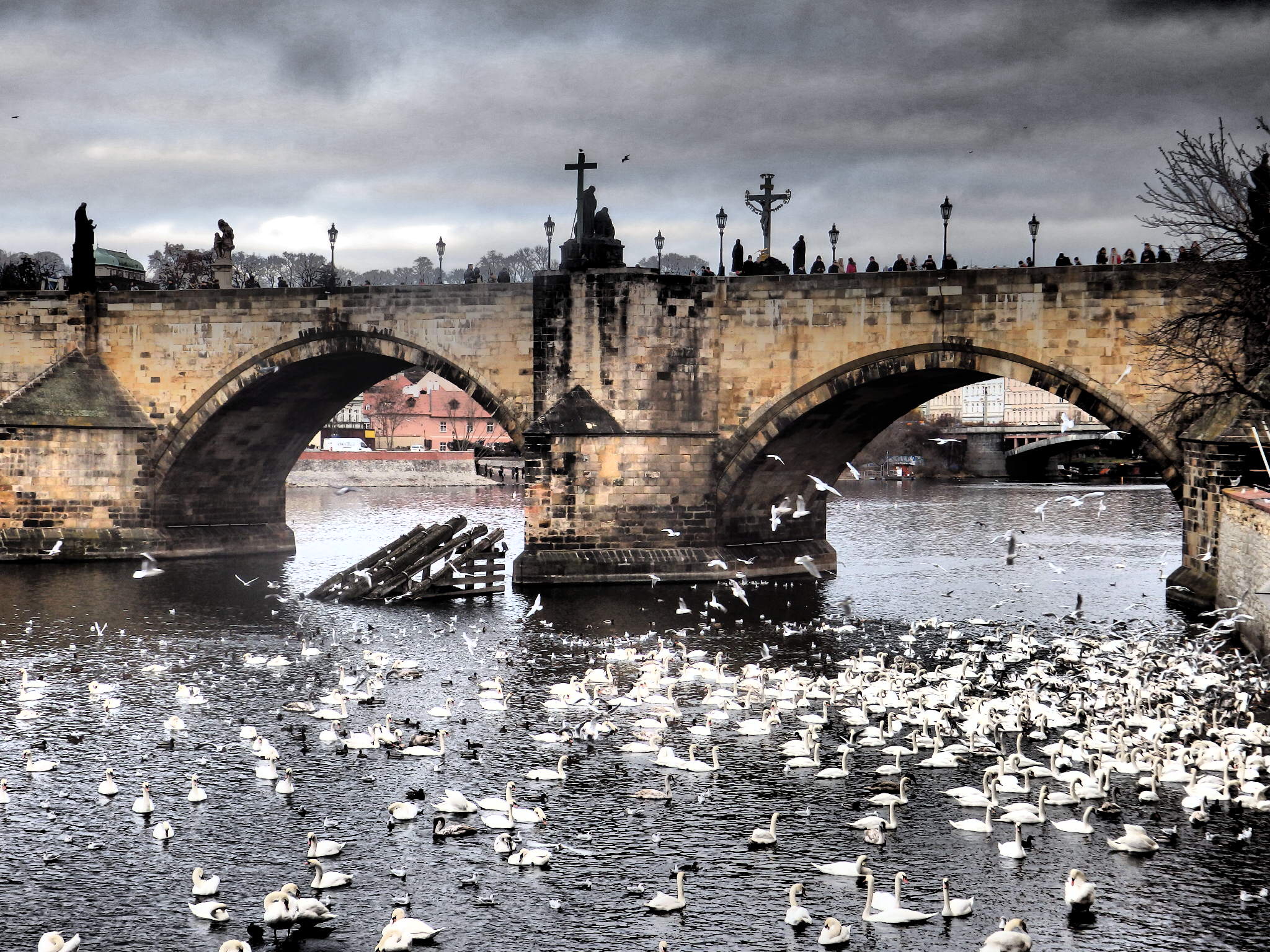 Praga