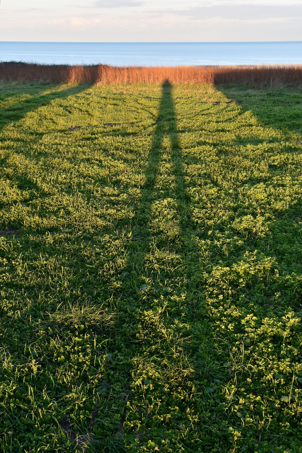 Very high self-consideration