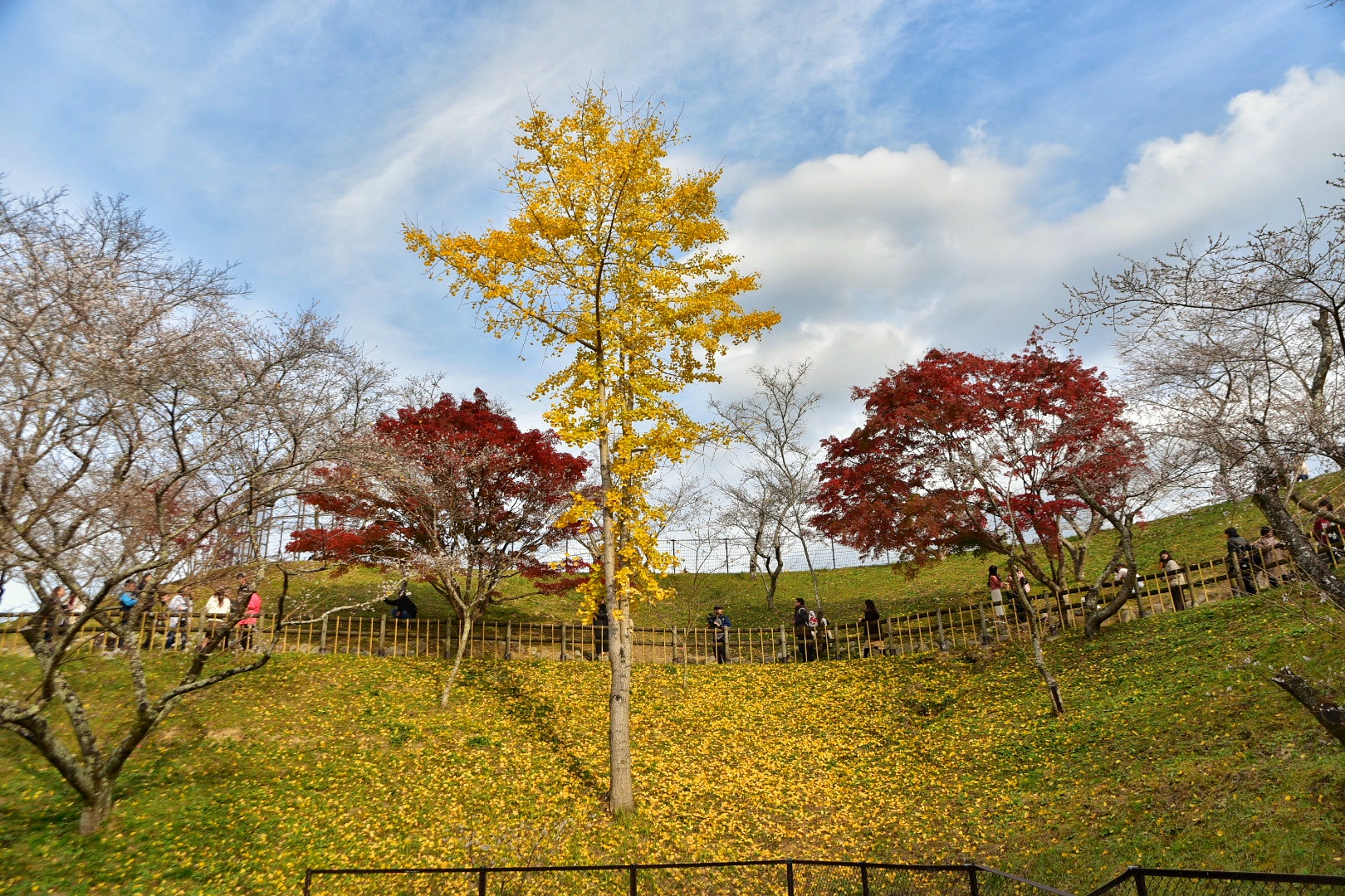 Nikon d750 ,tamron 24-70 f2.8 VC1 24mm ,1/400 f/5,100