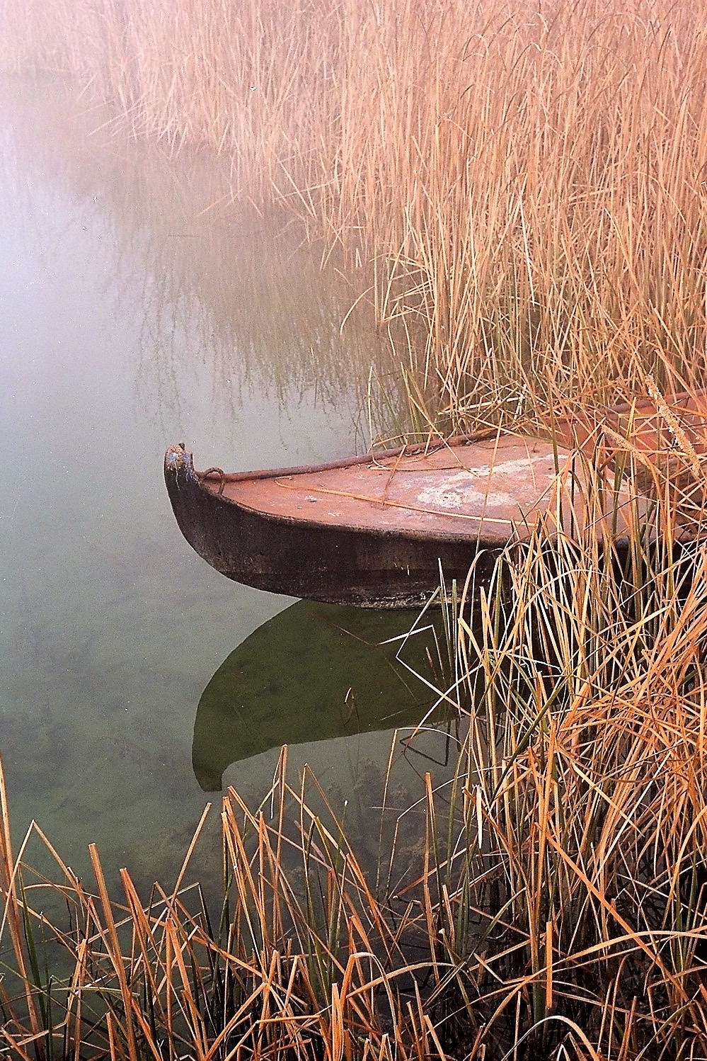 Malinconia d'autunno