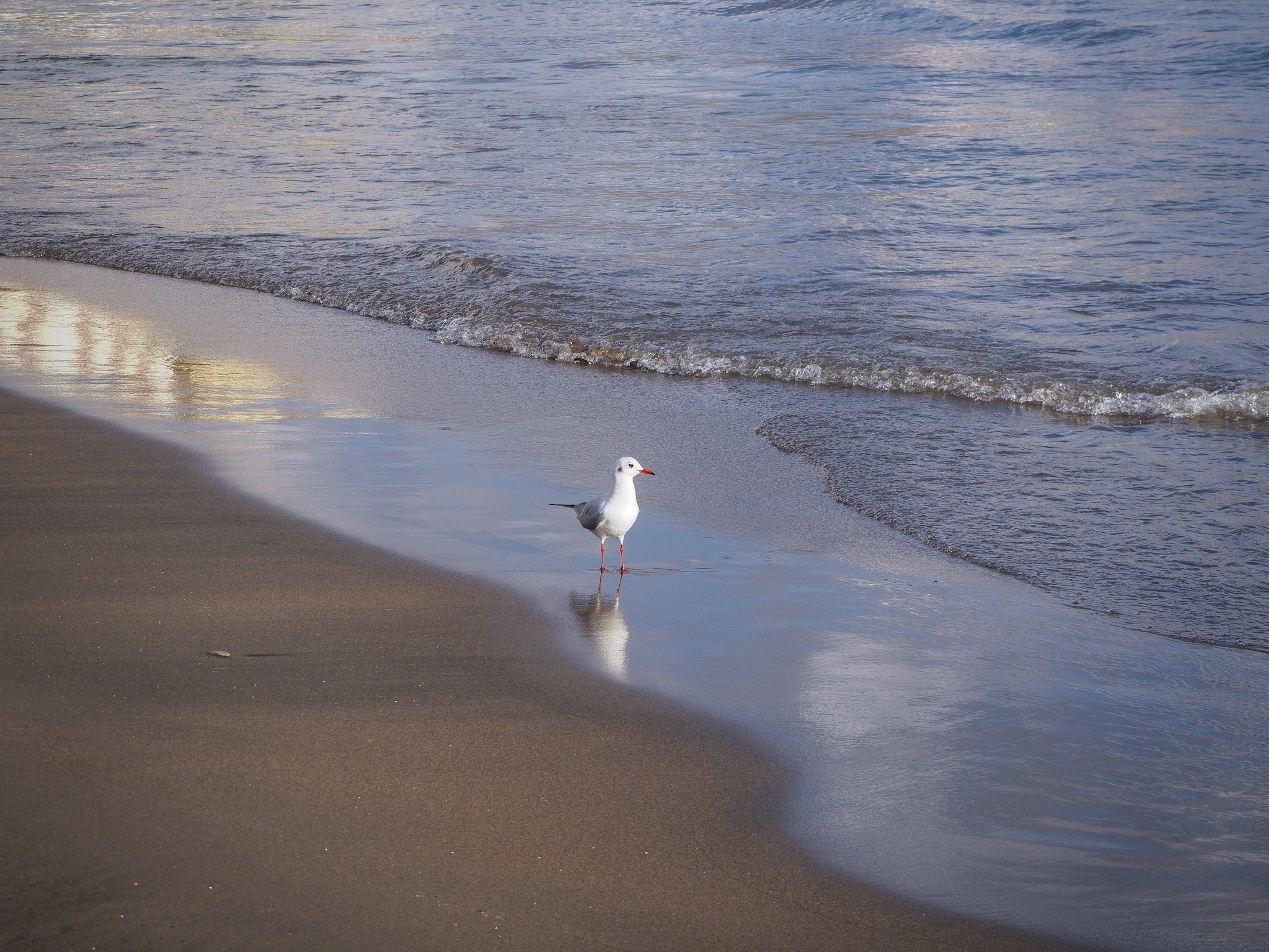 Why are you looking at me?