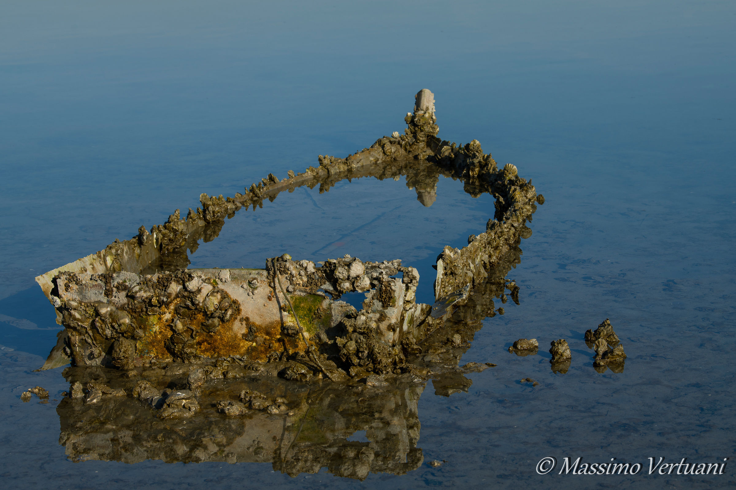 Fonte di nuova vita....