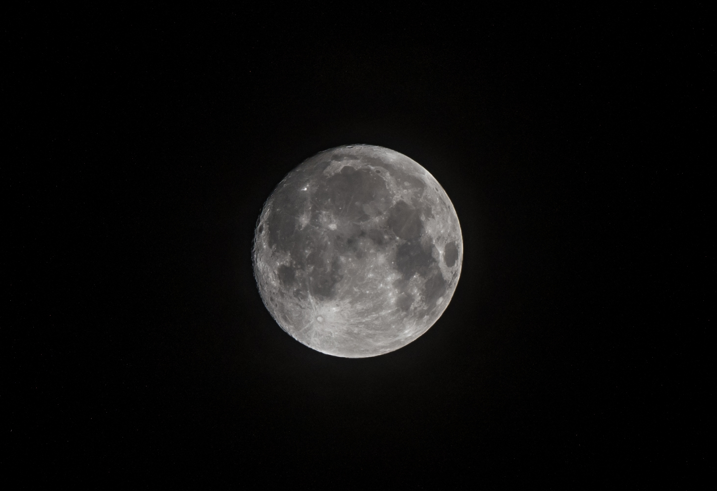 d850, Tamron 70 200 2.8, 200mm, F9, 1/200, ISO 100