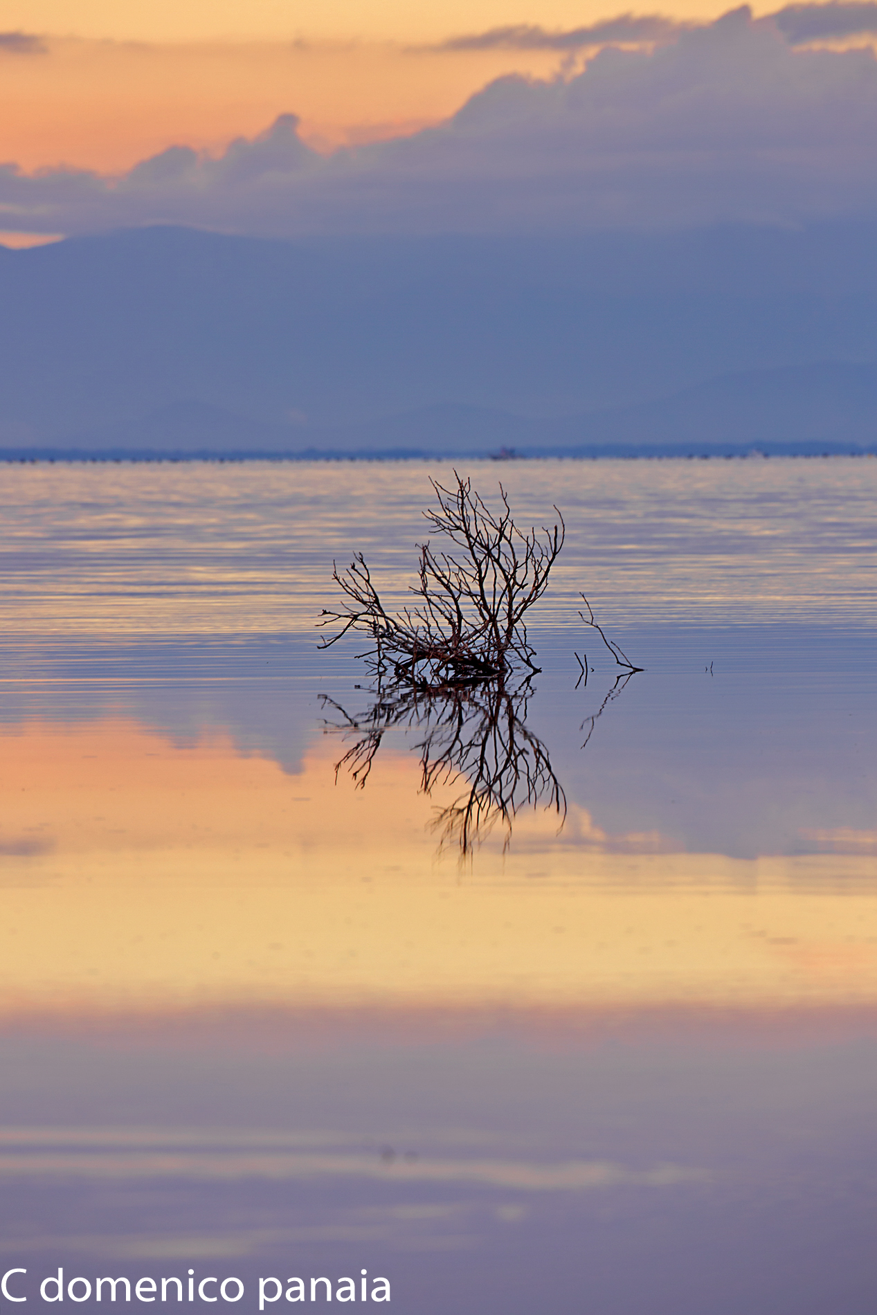 l'isola che non c'è