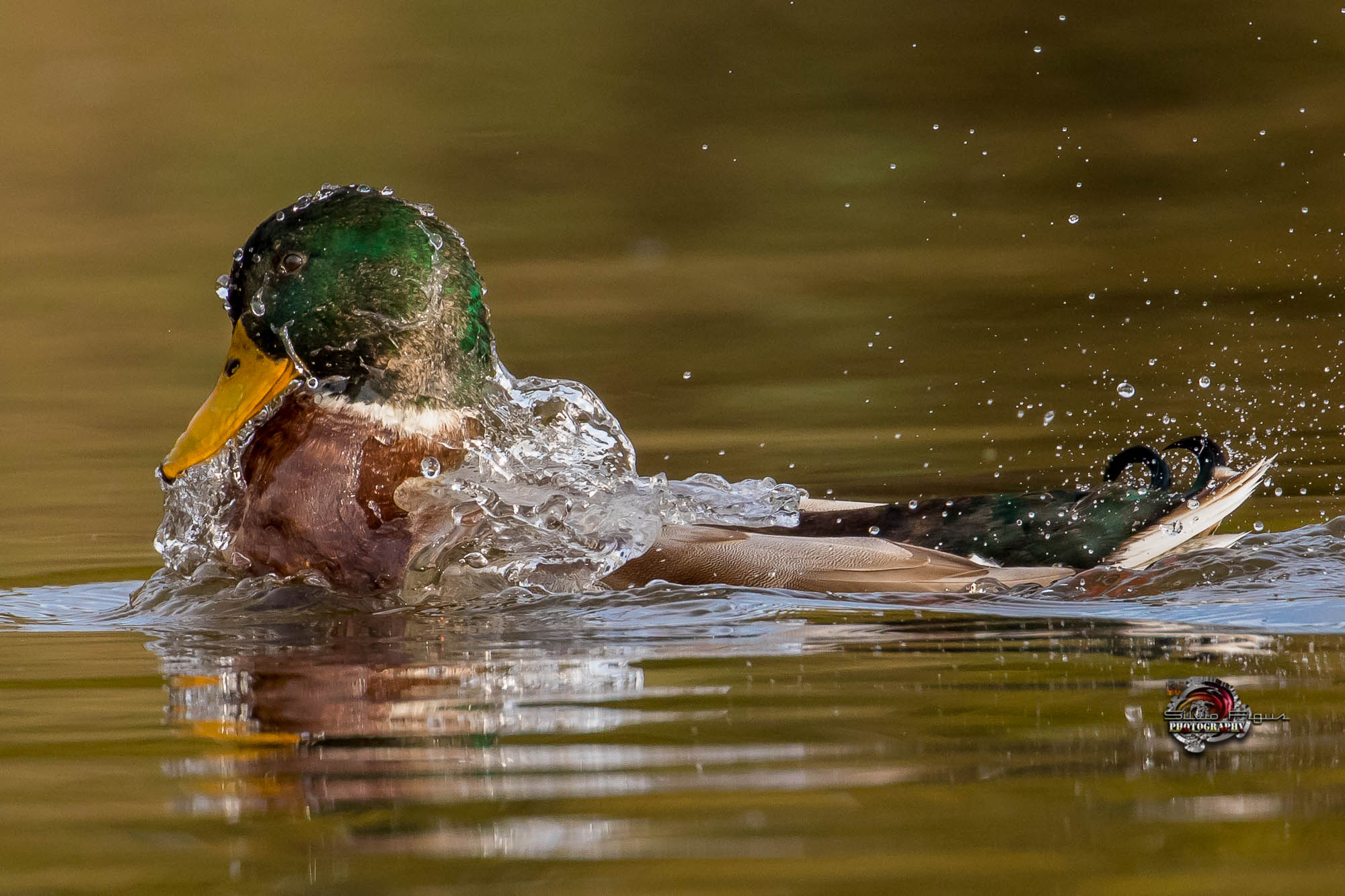 bagnetto rinfrescante