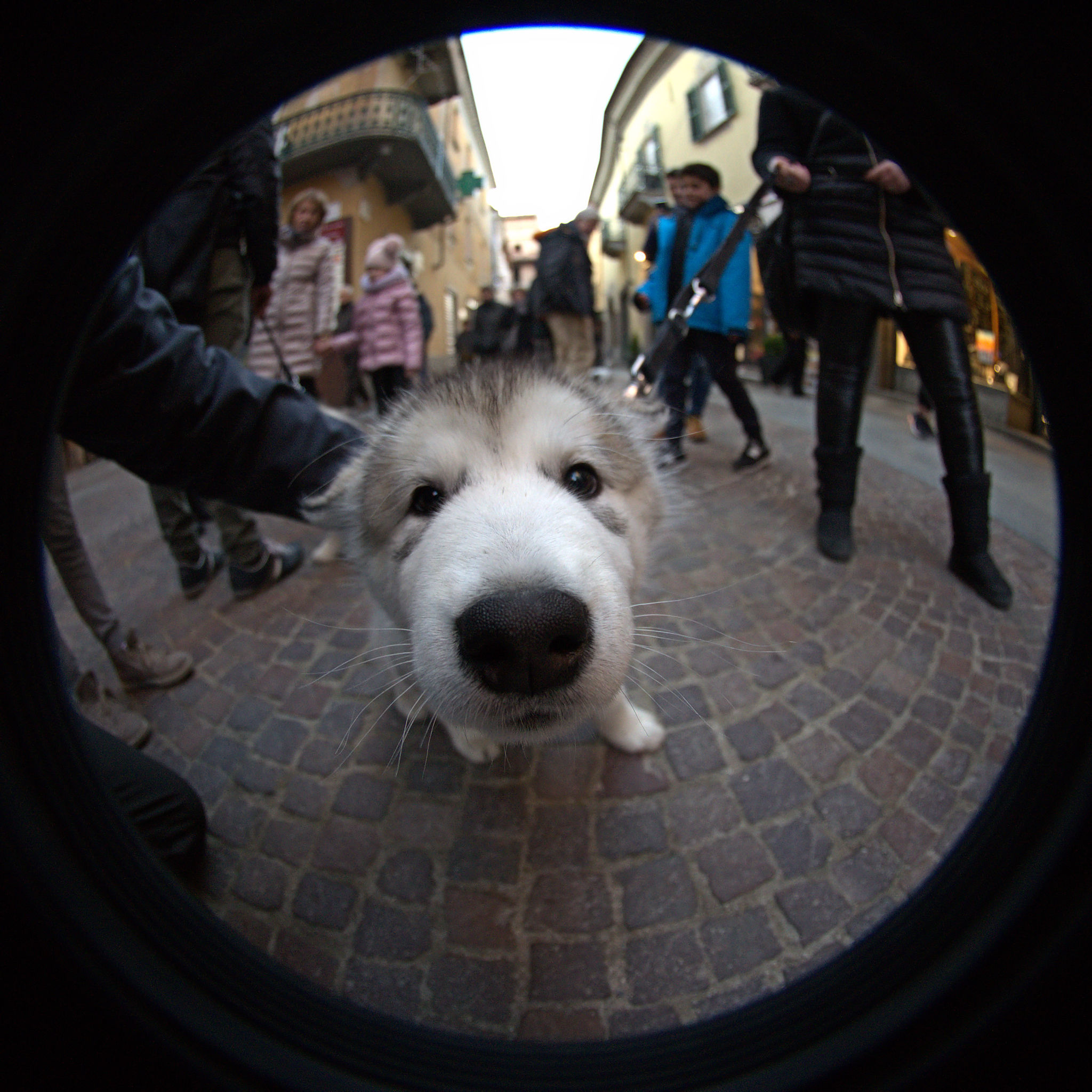 Cosa c'è lì dentro?