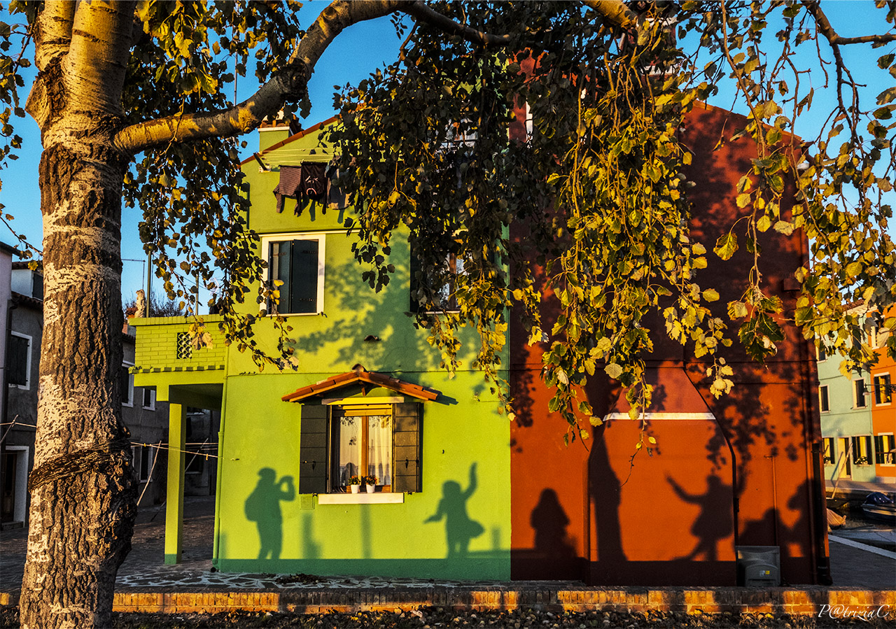 __chinese shadows... ops Buranesi Shadows