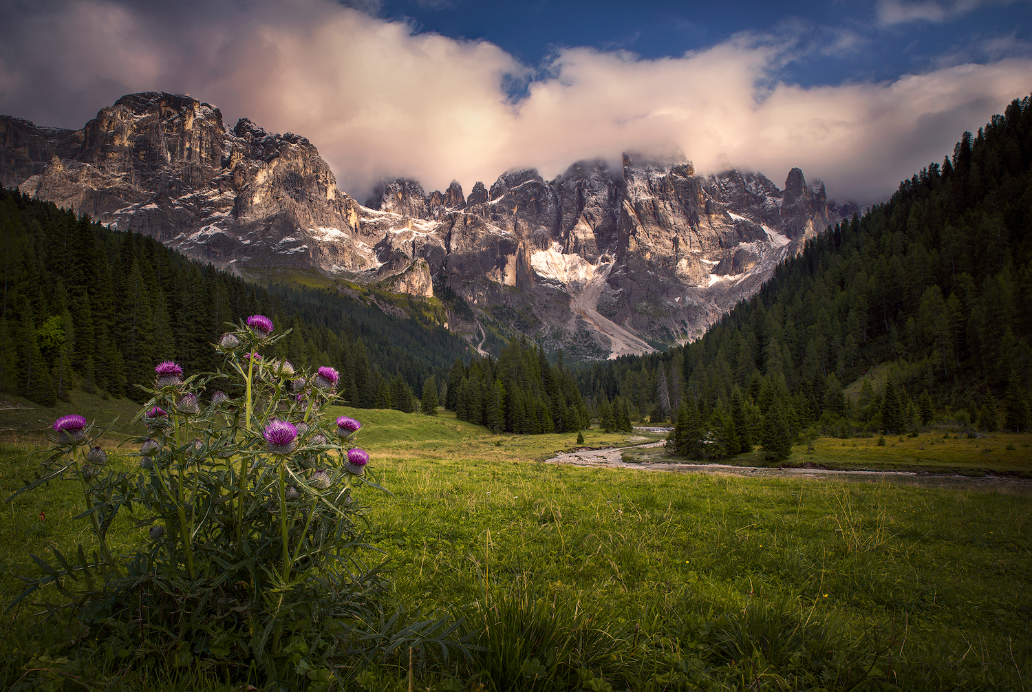 Pale di San Martino