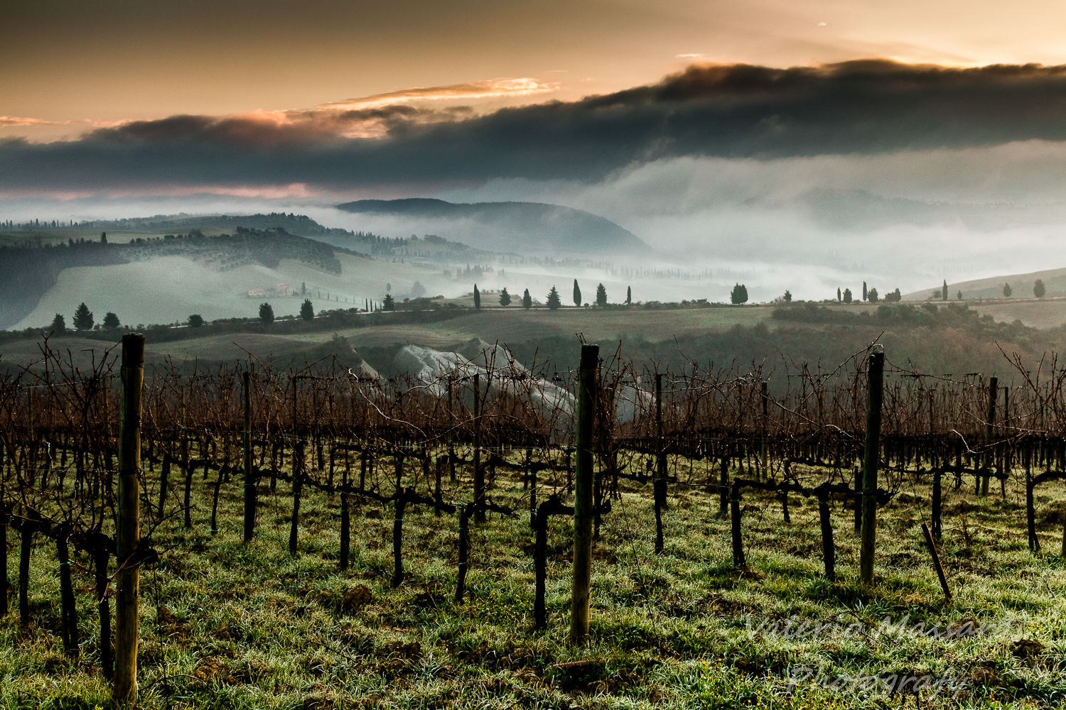 Among the vineyards in Val d'orcia