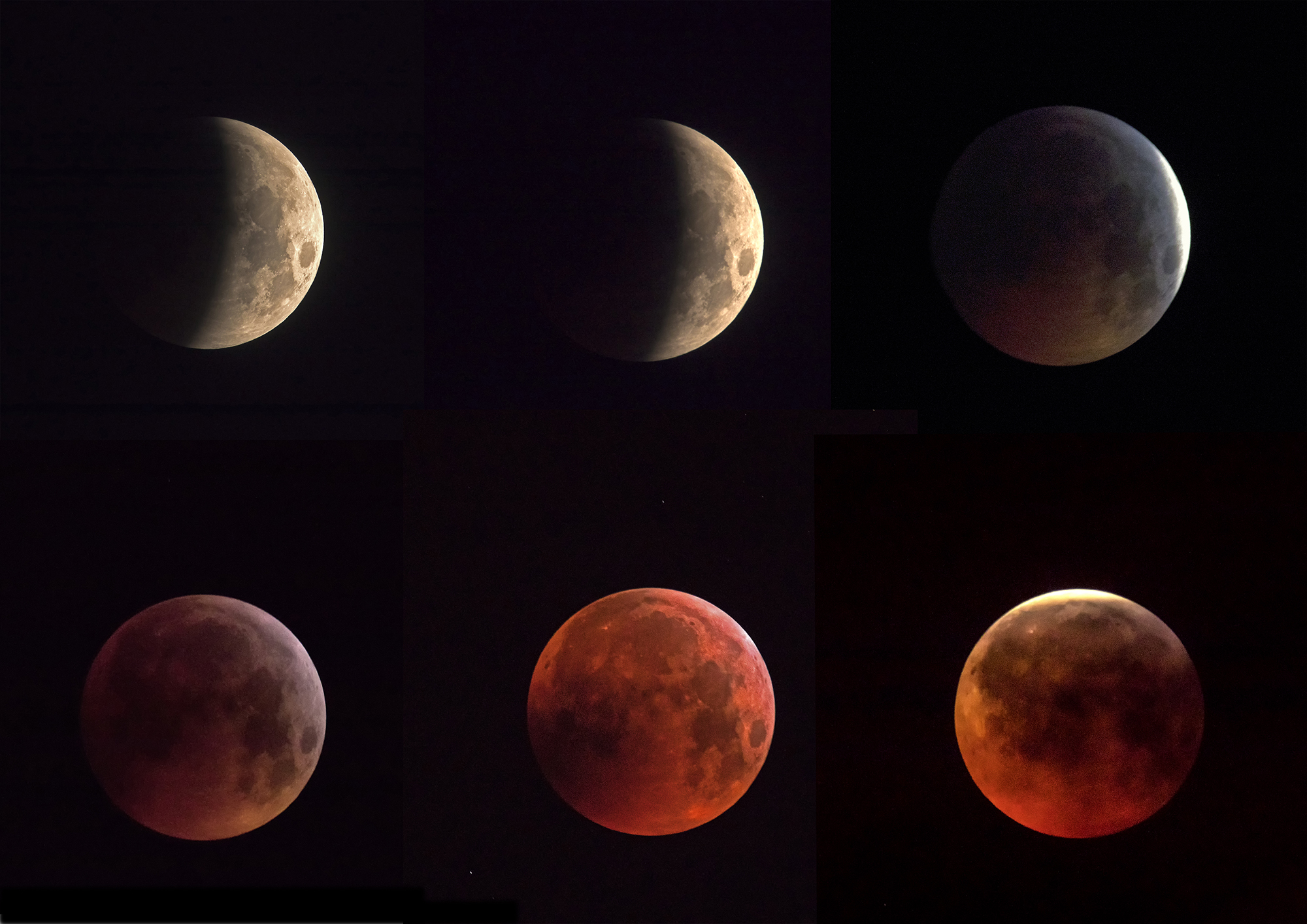 moon eclipse of the day