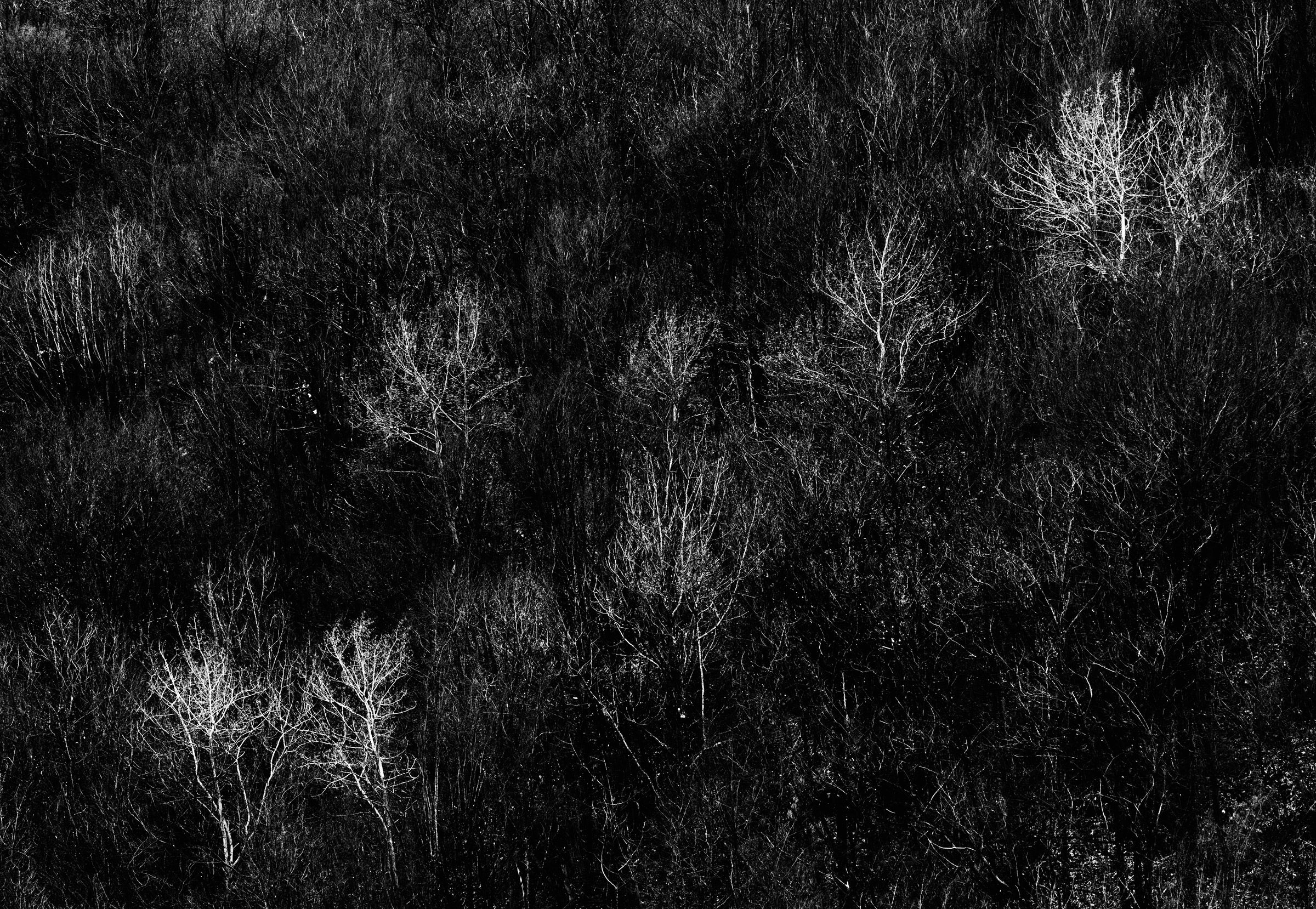 Scratches of November.