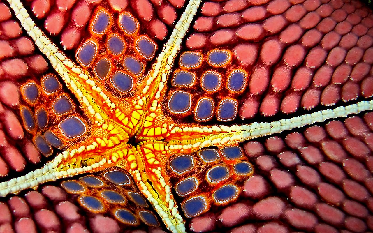 Edited photo on the advice of Robert and Moth