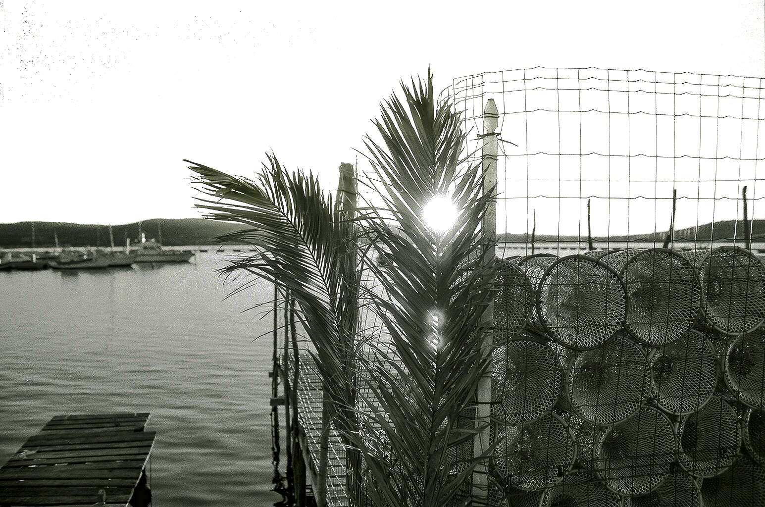 Prospettiva di un pescatore a fine giornata...