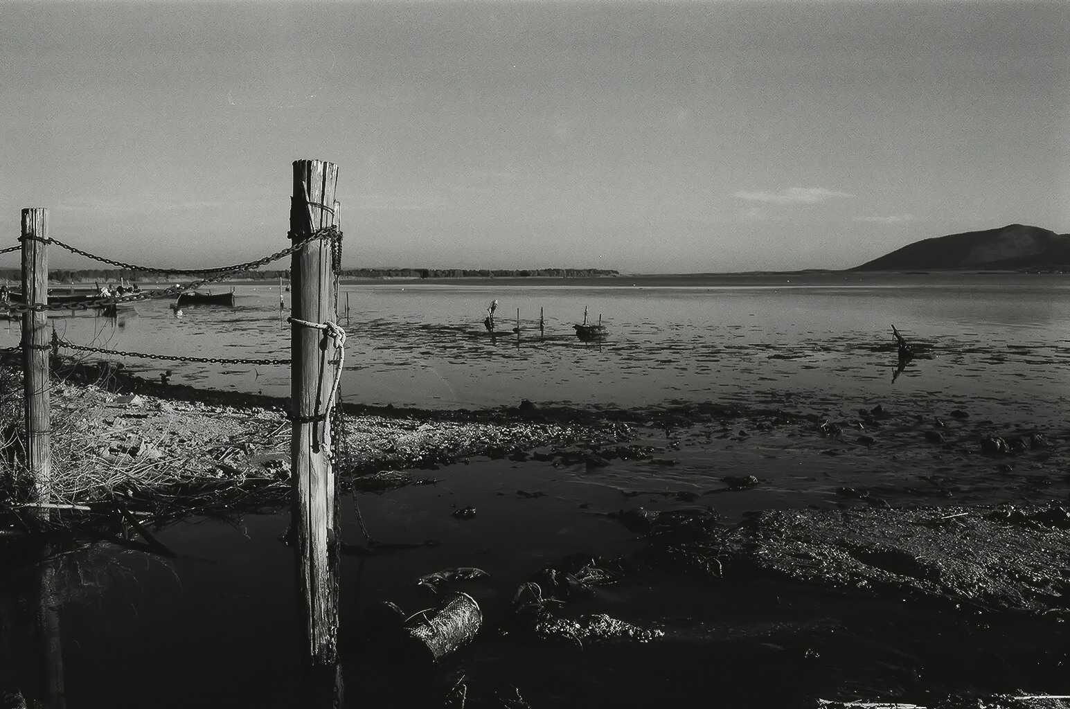 Fascino della solitudine in una landa desolata