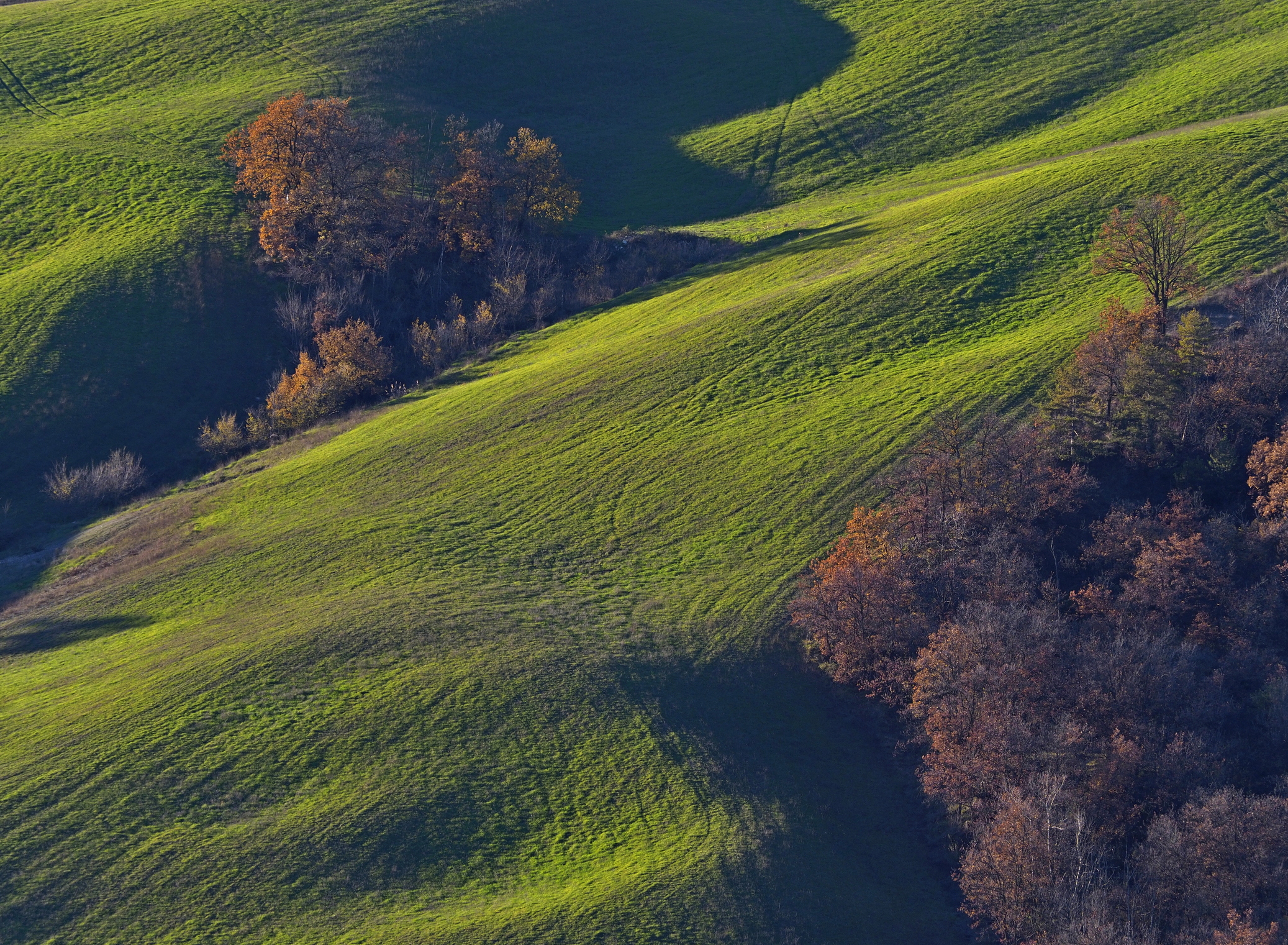 Autumnal Nuances in the hills