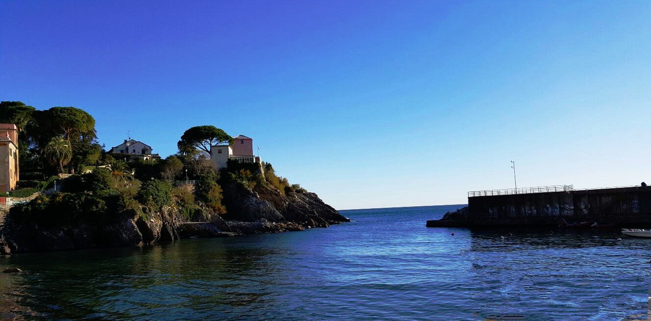 A glimpse of the walk of nerves