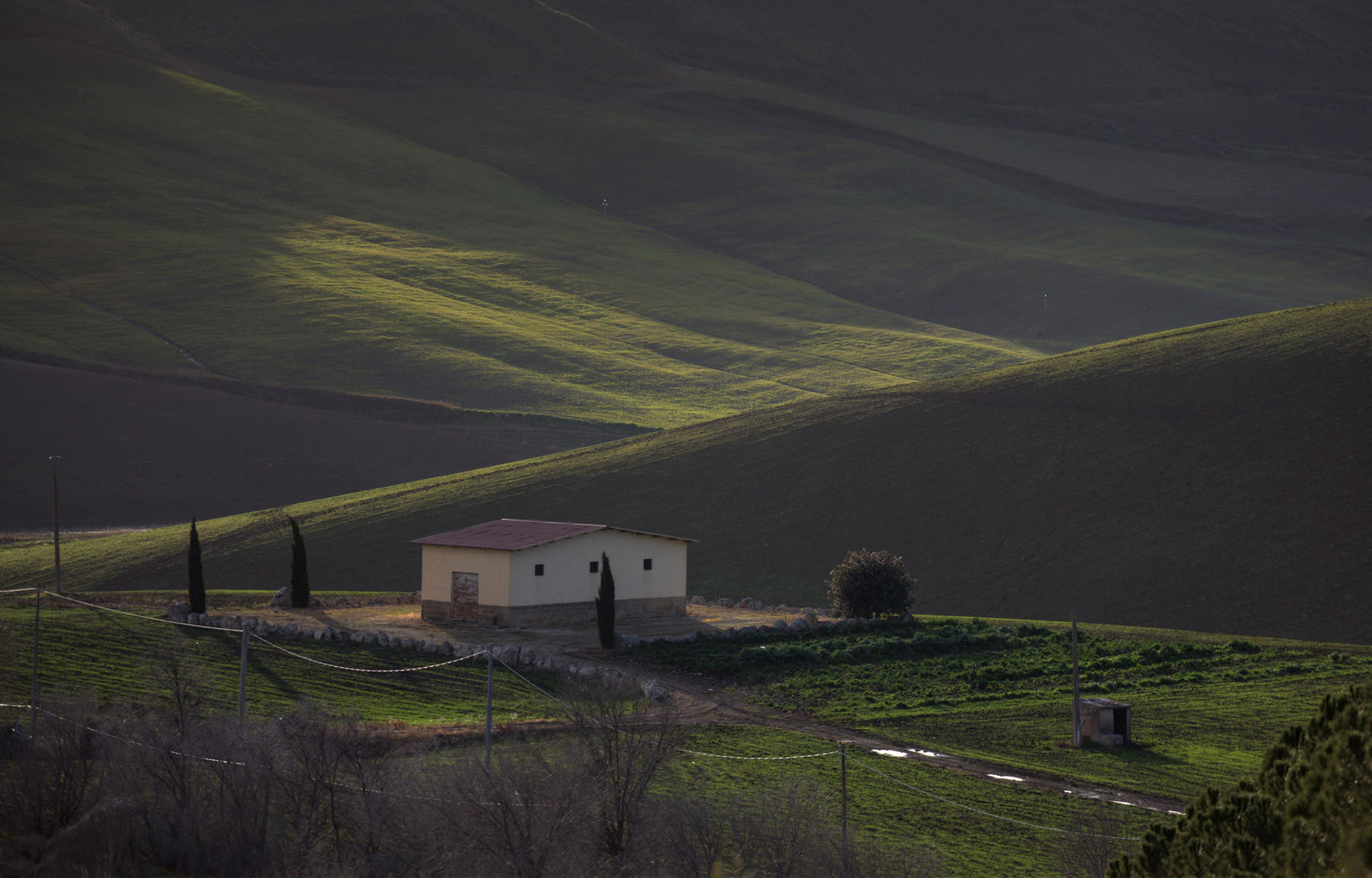 The House in the hills