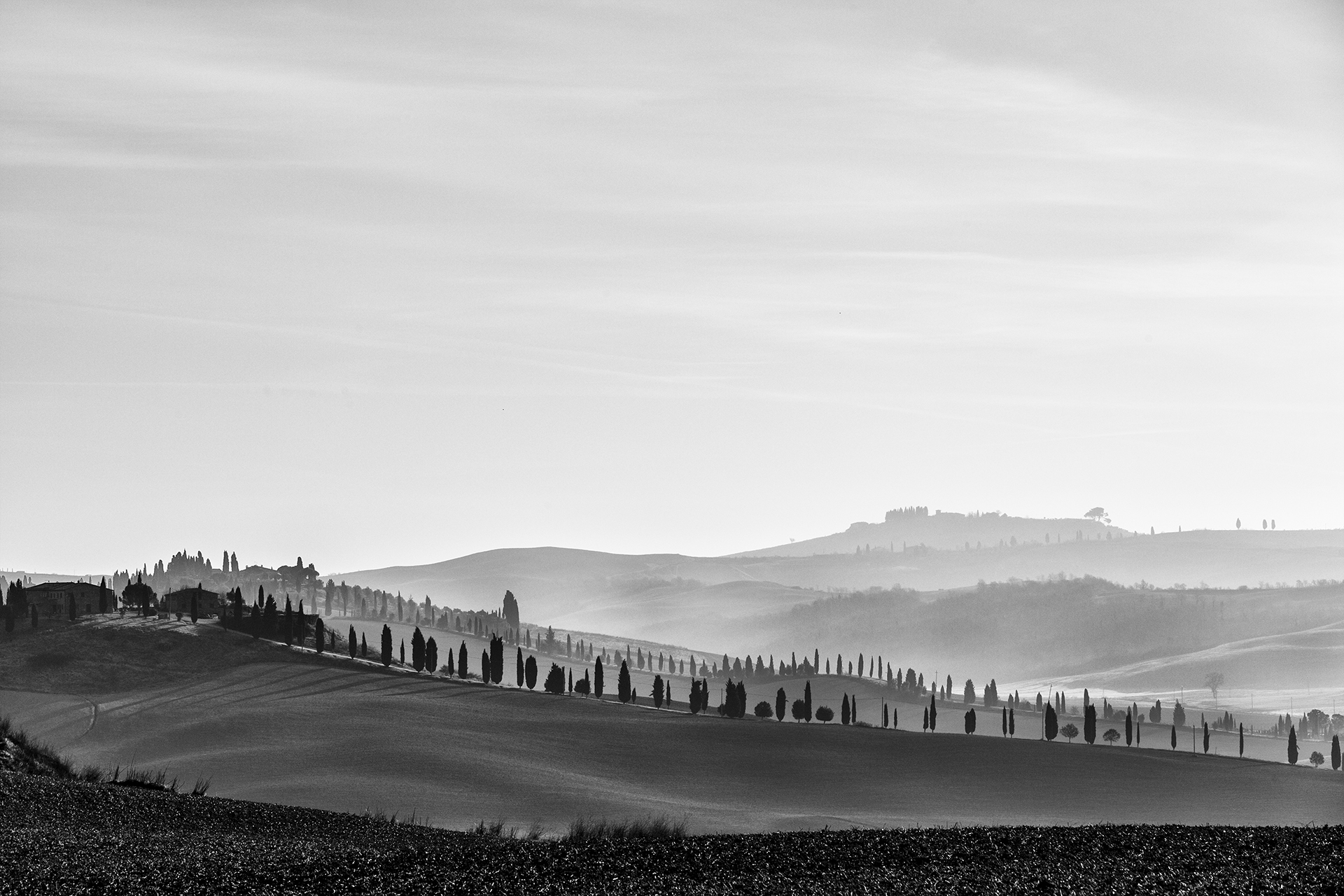 Tuscan Landscape