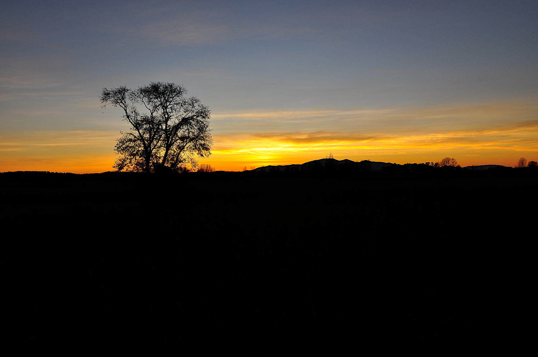 Silhouettes at sunset