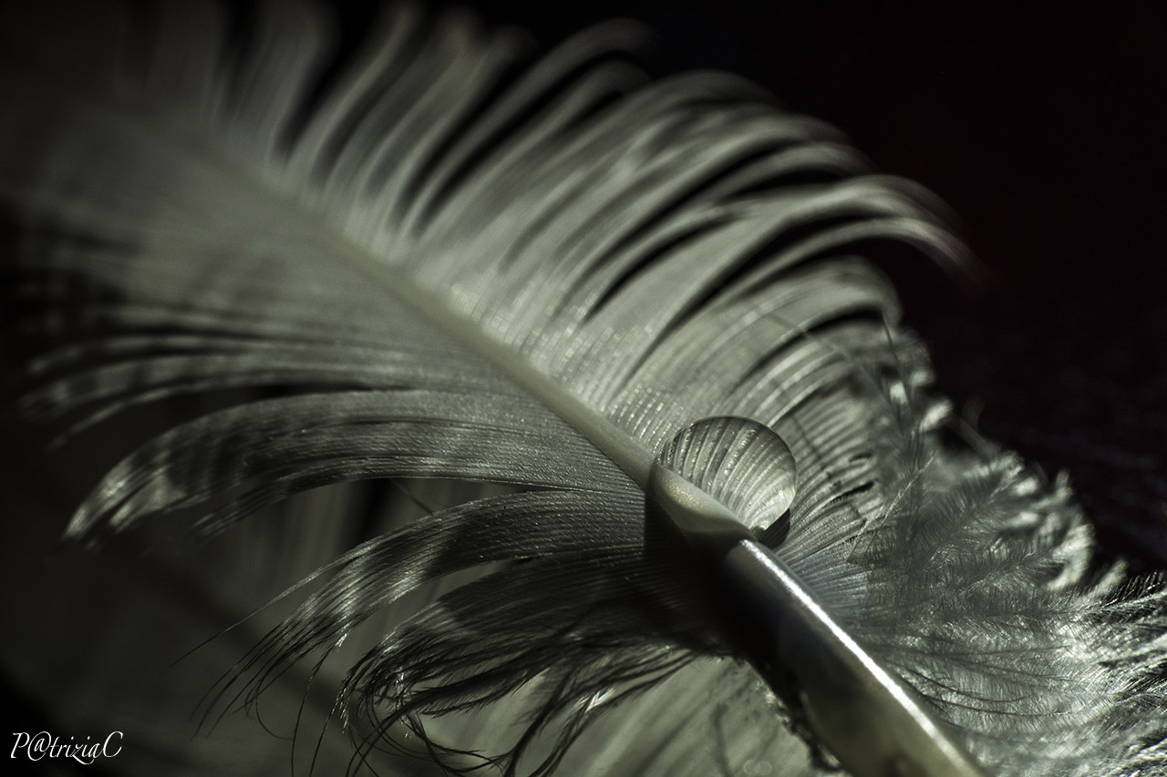 ____ Simply drop __/