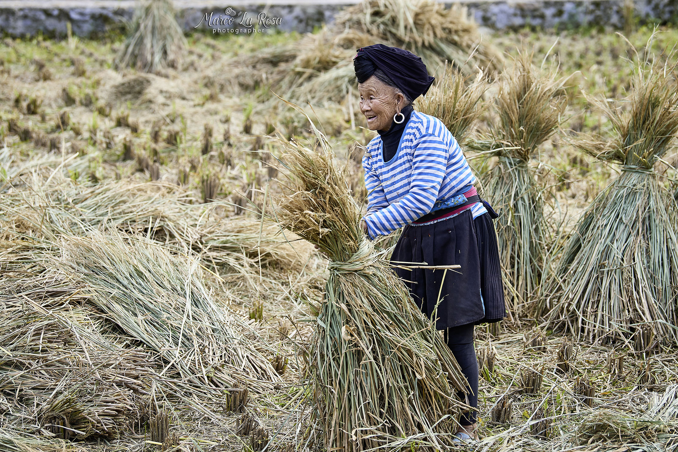 Terraces of Jinkeng..