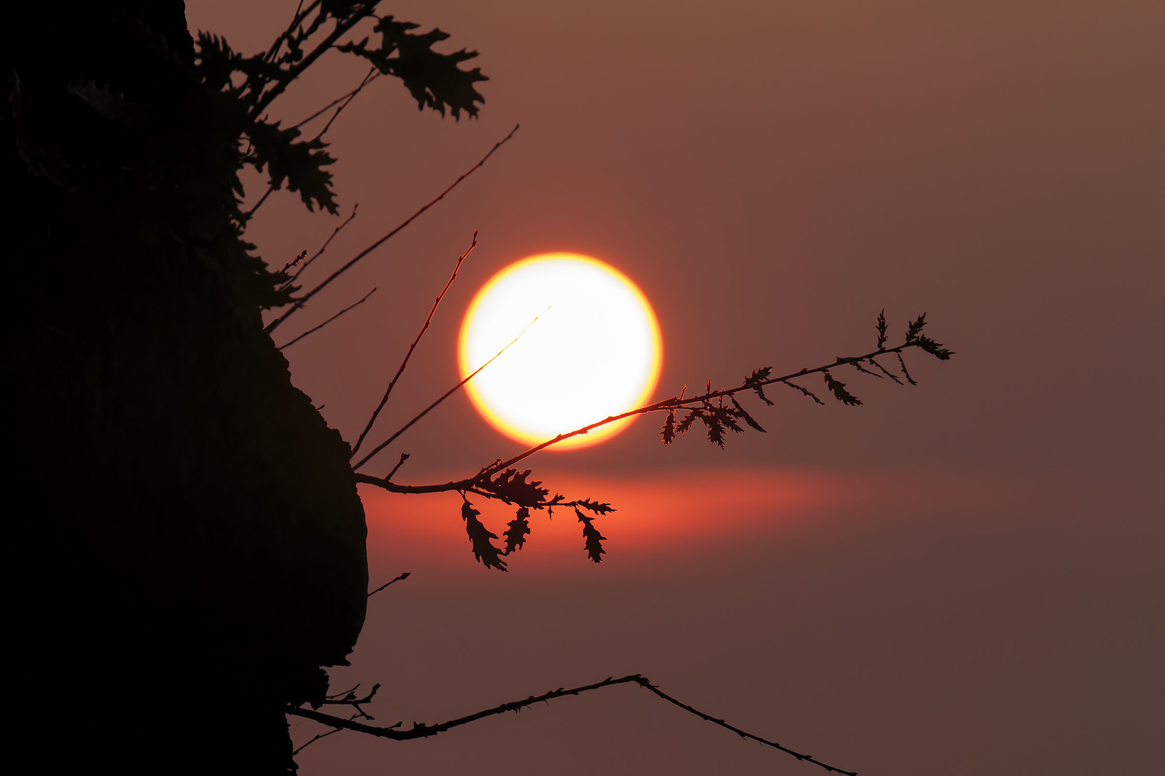 Red in the evening.......