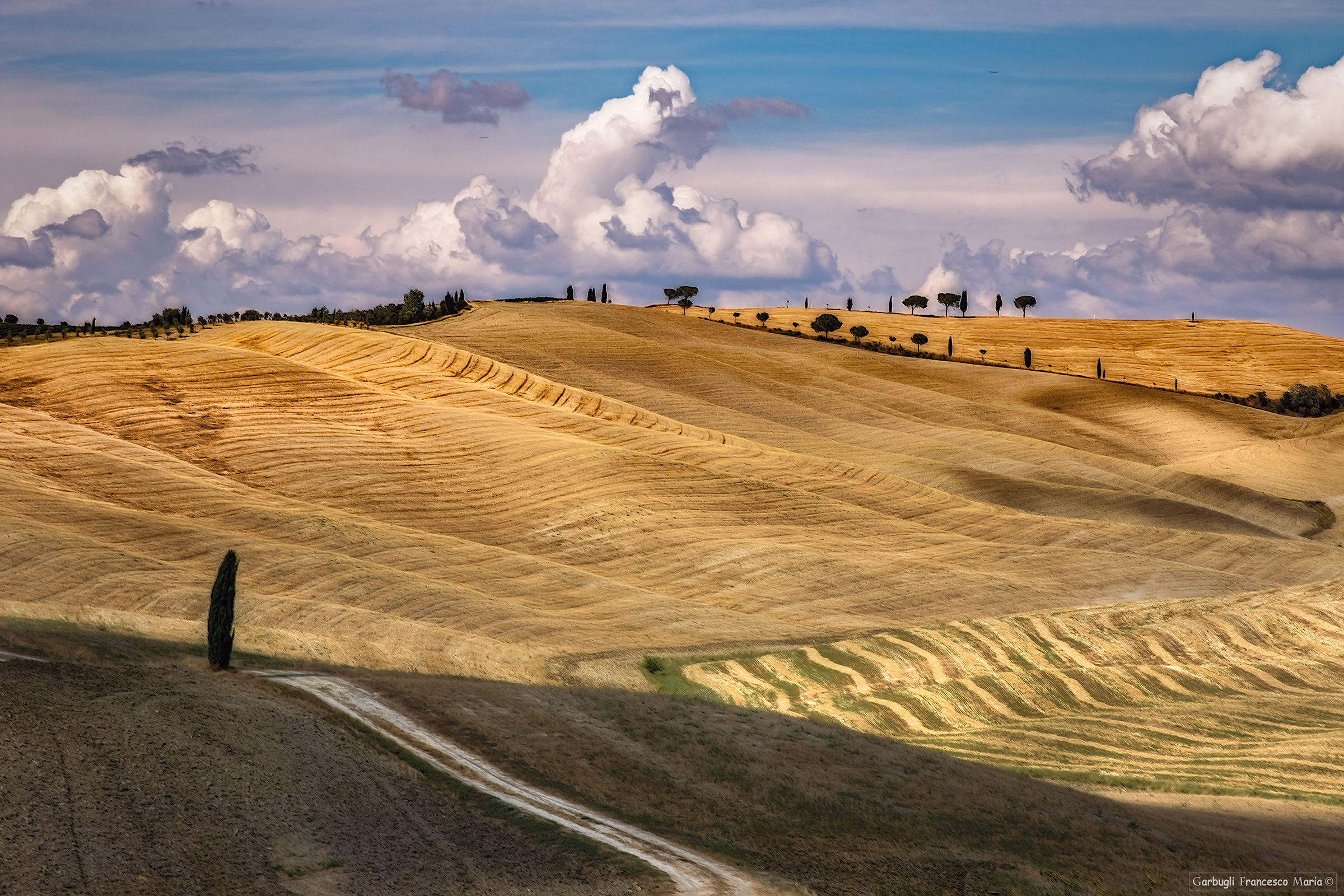 Colline magiche..... ricoperte d'oro