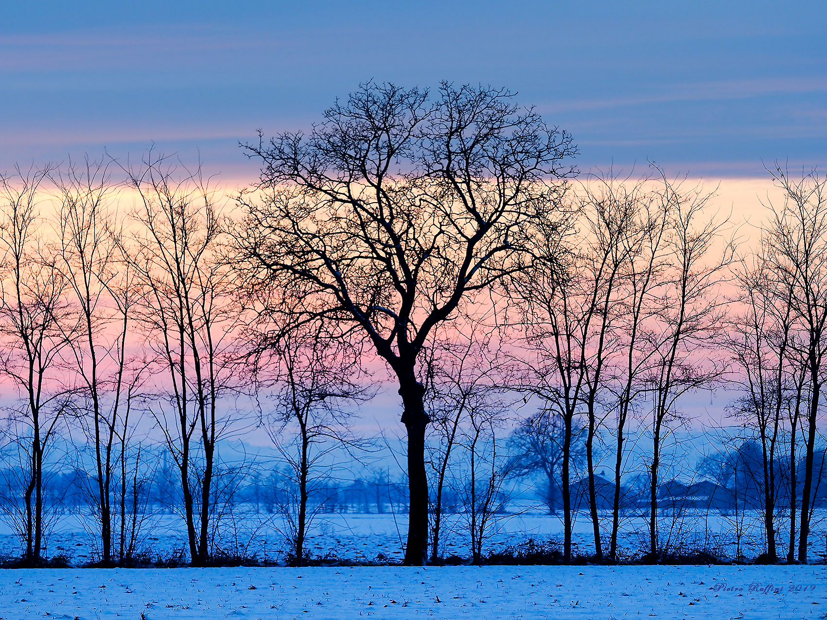 Winter Twilight
